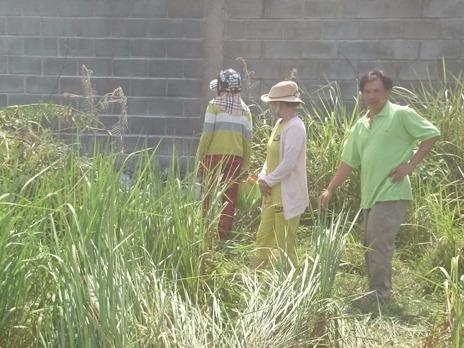 Nguoi dan ong chet chay trong lum co o Long An hinh anh