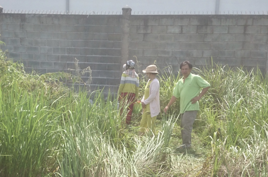 Nan nhan bi chay den la cong nhan cap dien hinh anh