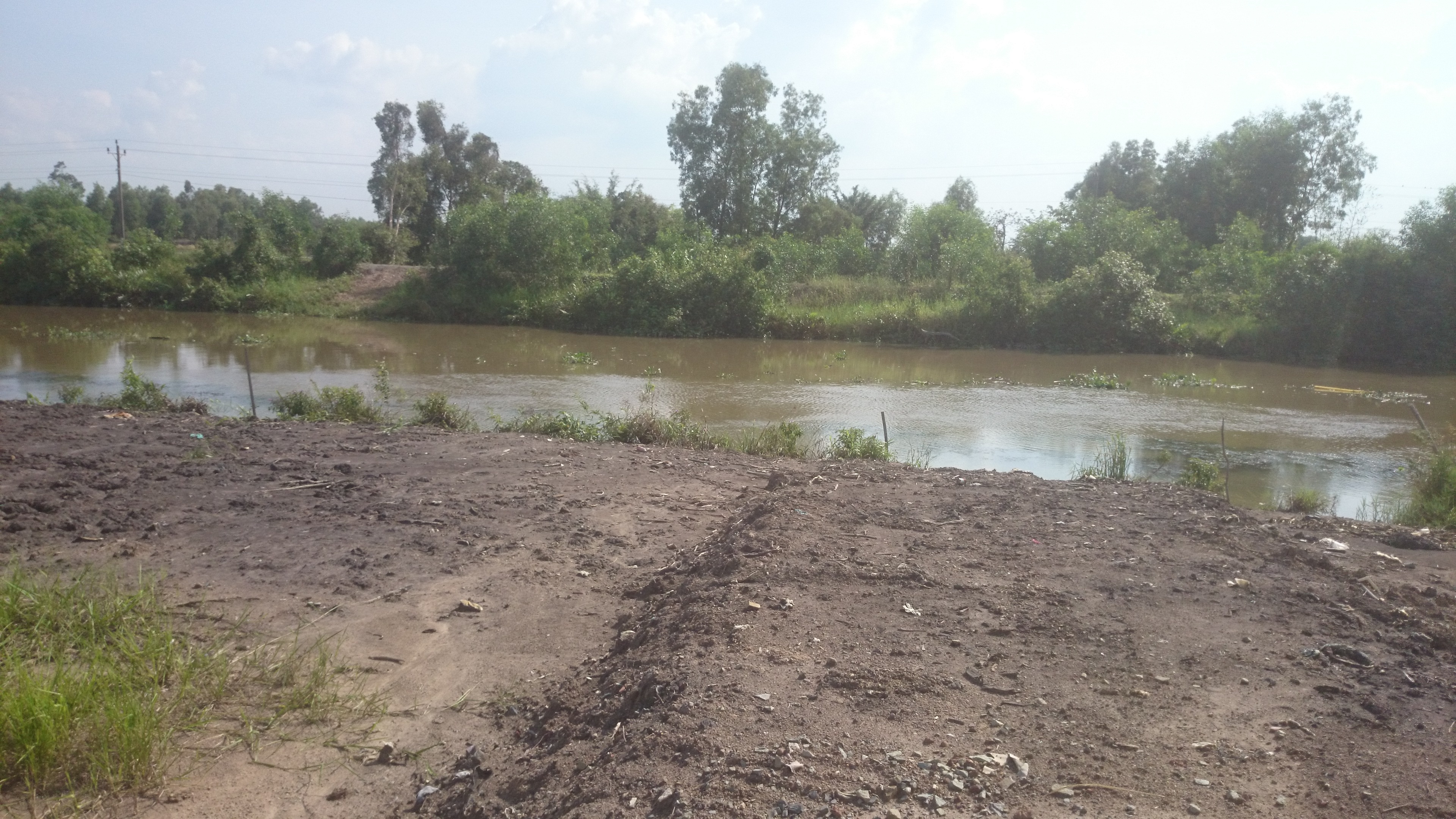 Gian con,  ba me tam xang len nguoi tu thieu anh 2