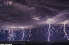 Set danh mot nan nhan chay den trong vuon hinh anh