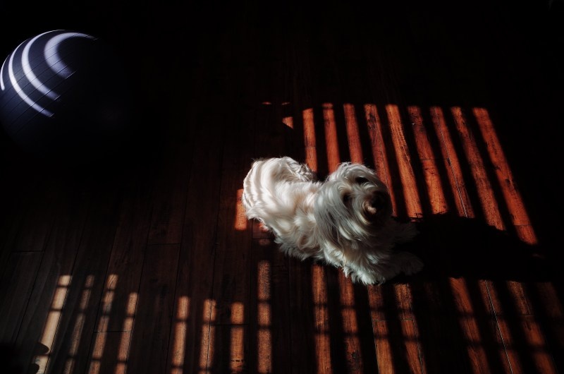 tự cải thiện kĩ năng nhiếp ảnh của bản thân ảnh 1 tu cai thien ki nang nhiep anh cua ban than anh 1