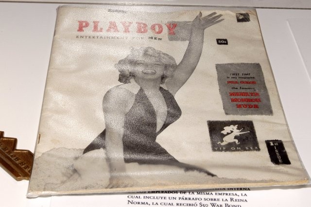 de che Playboy anh 3