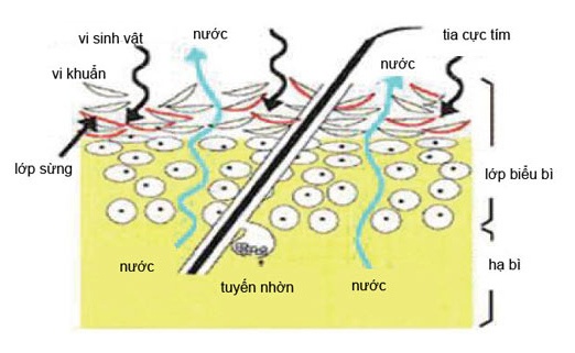 su dung smartphone gay benh da lieu anh 2