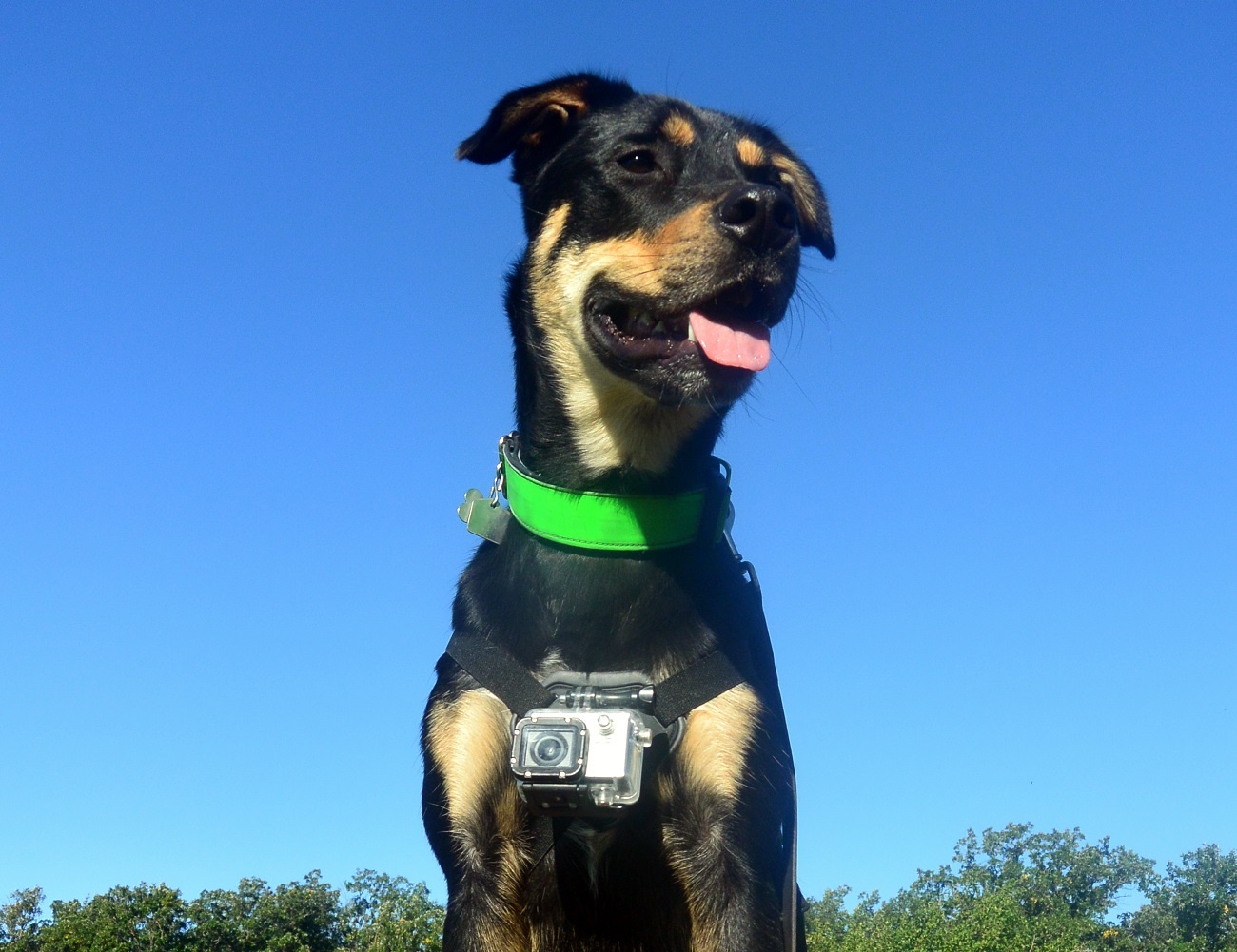 camera hanh trinh trong cho anh 1