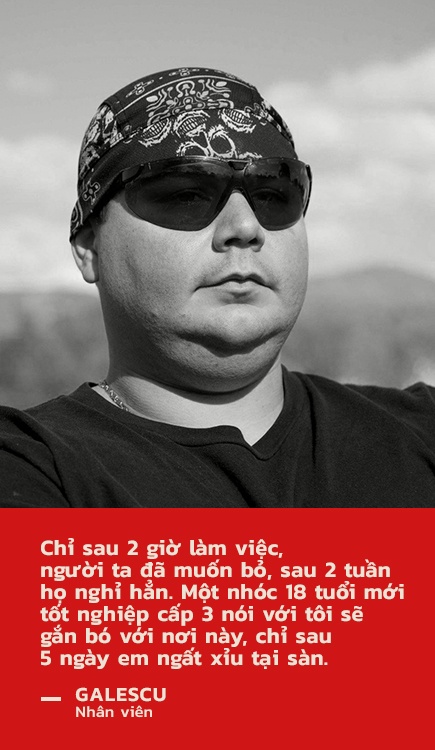 Elon Musk boc lot nhan cong anh 5