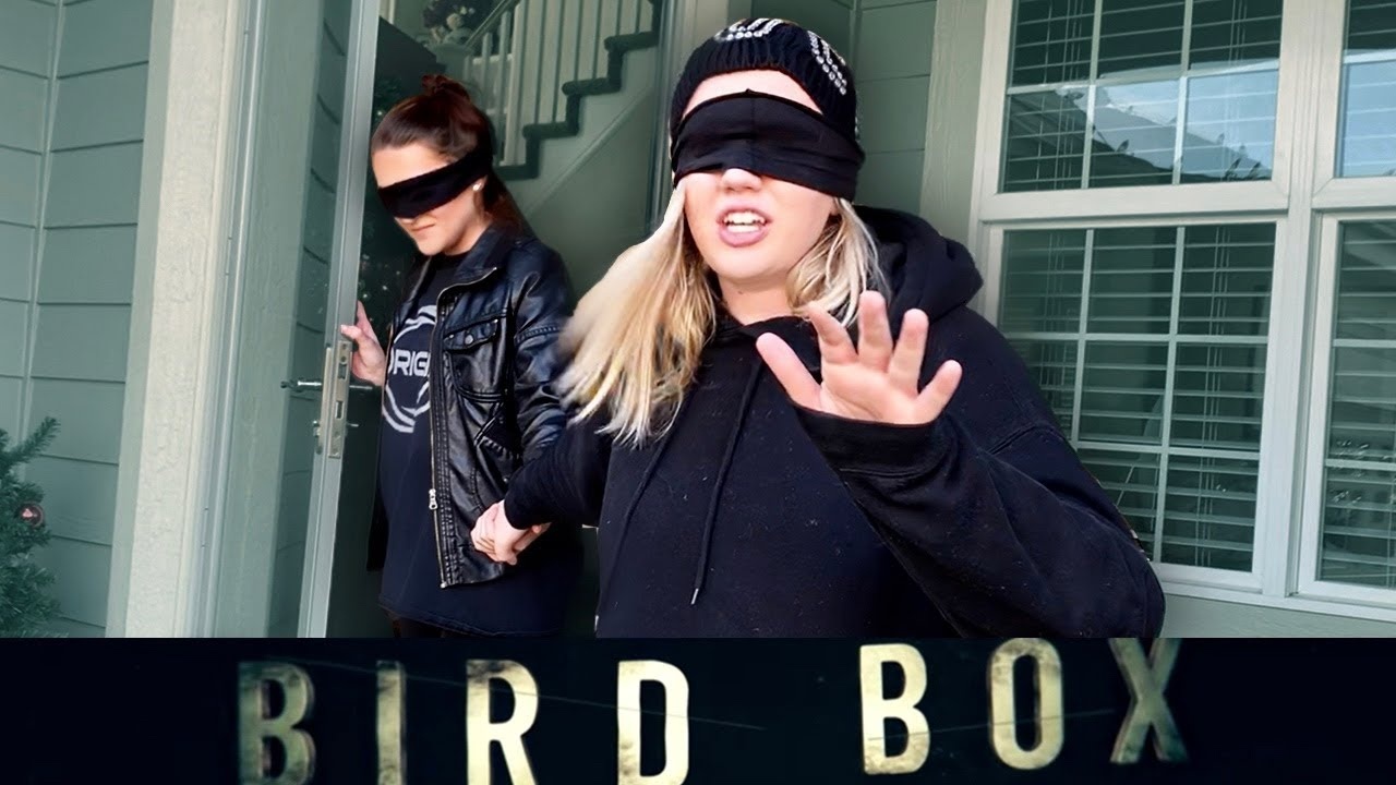 Bird Box Challenge lan truyen khap mang xa hoi hinh anh