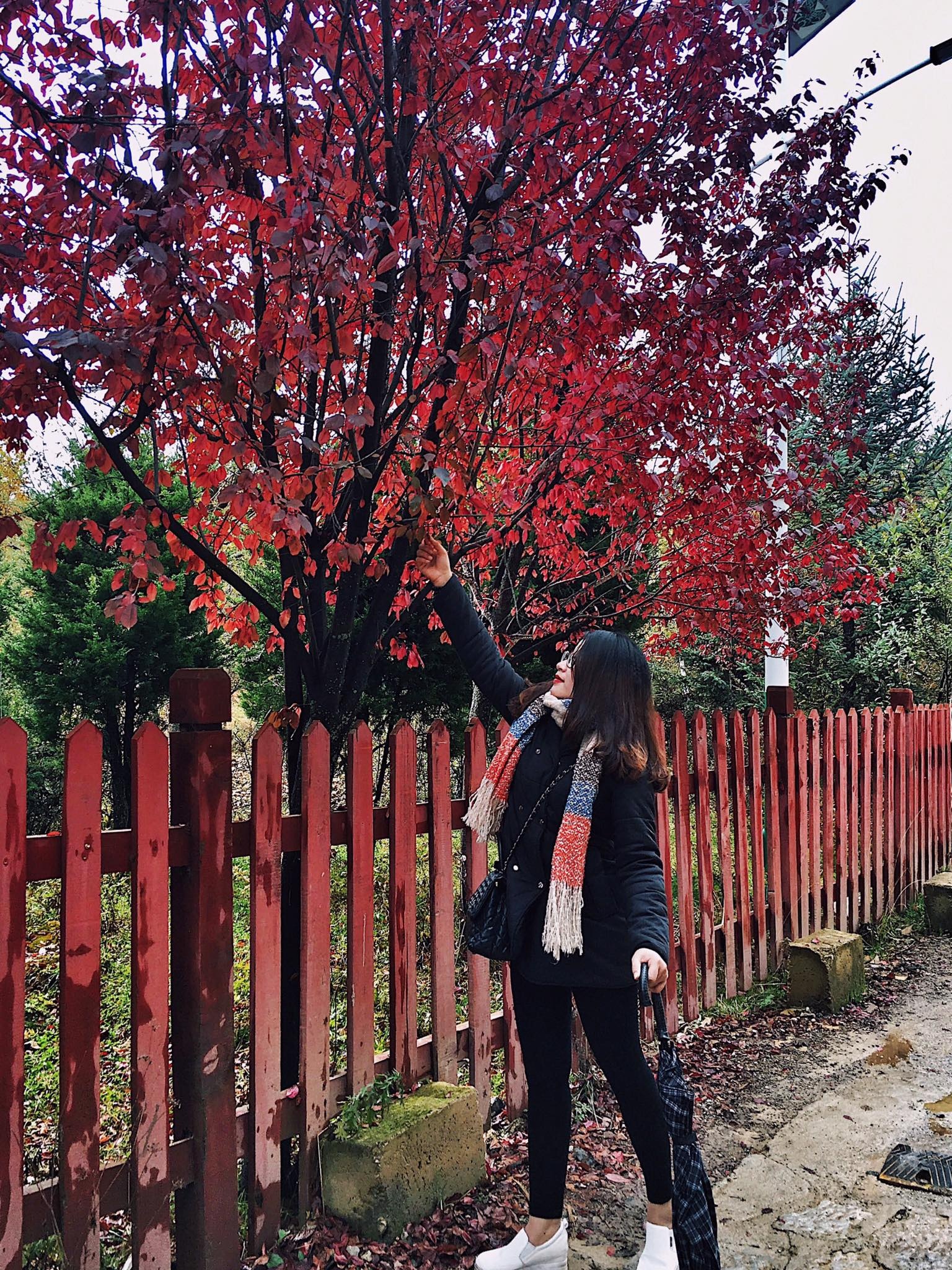 Du lich Trung Quoc anh 20