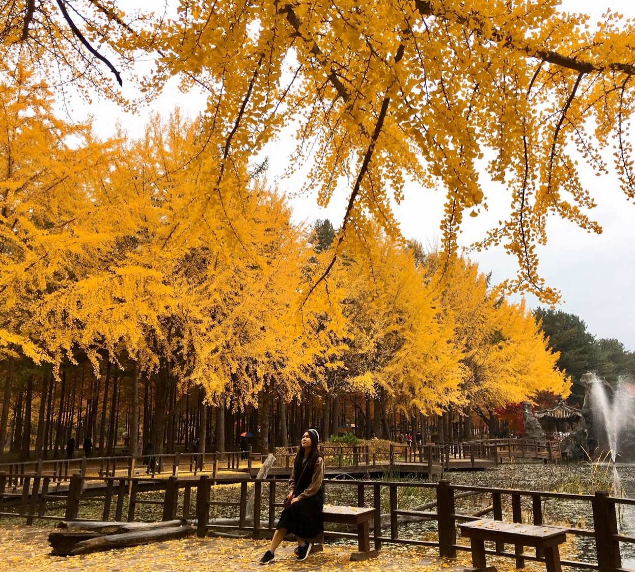 Du lich Han Quoc anh 4