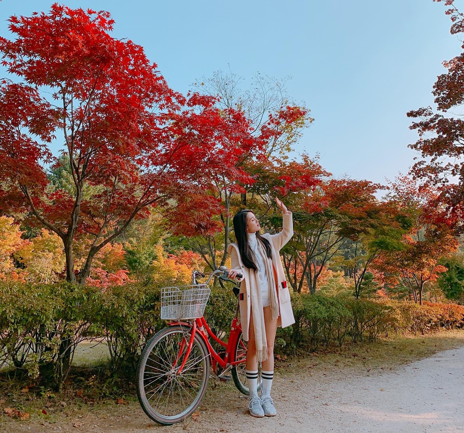 Du lich Han Quoc anh 5