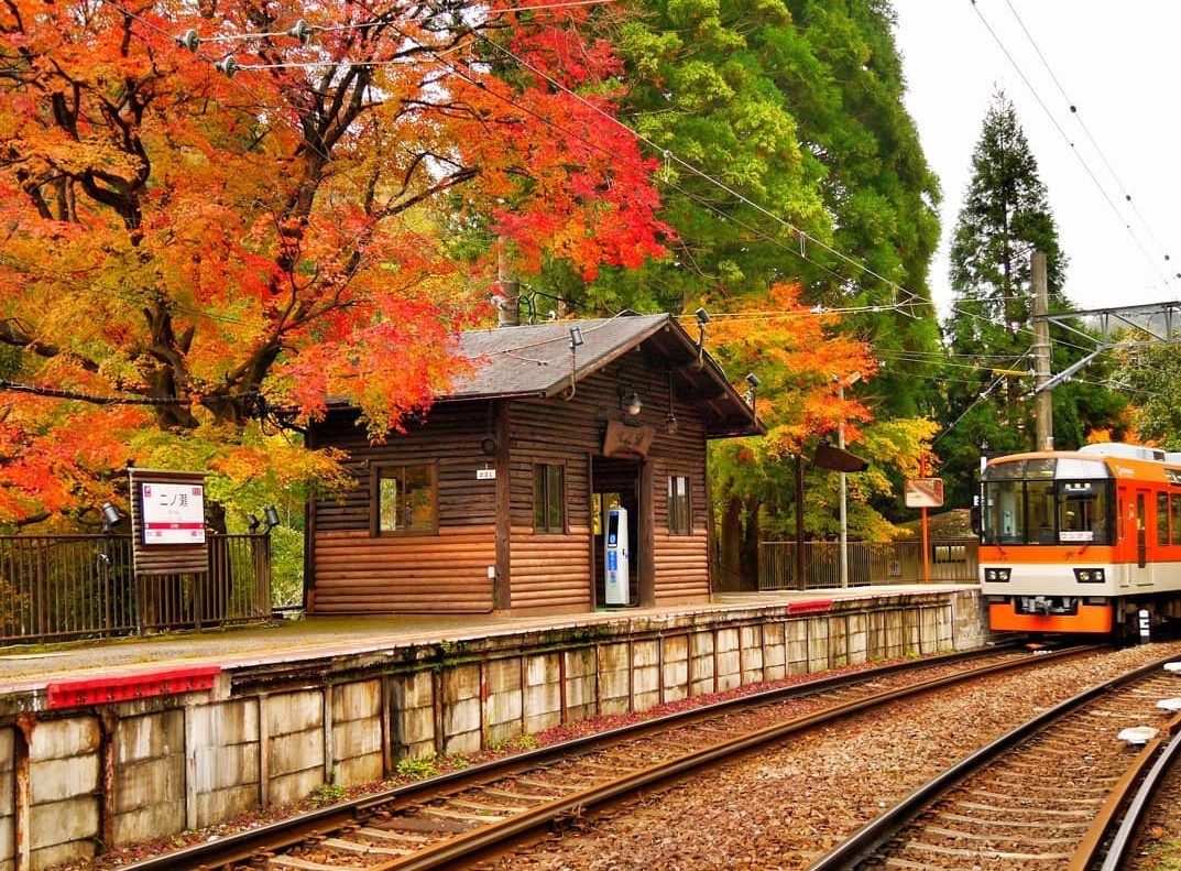 Mua thu Nhat Ban anh 5