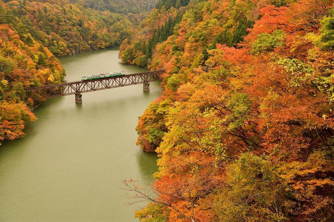 Mua thu Nhat Ban anh 7