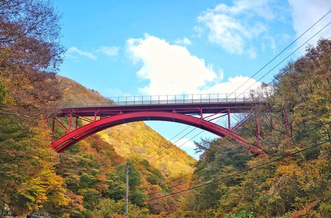 Mua thu Nhat Ban anh 9