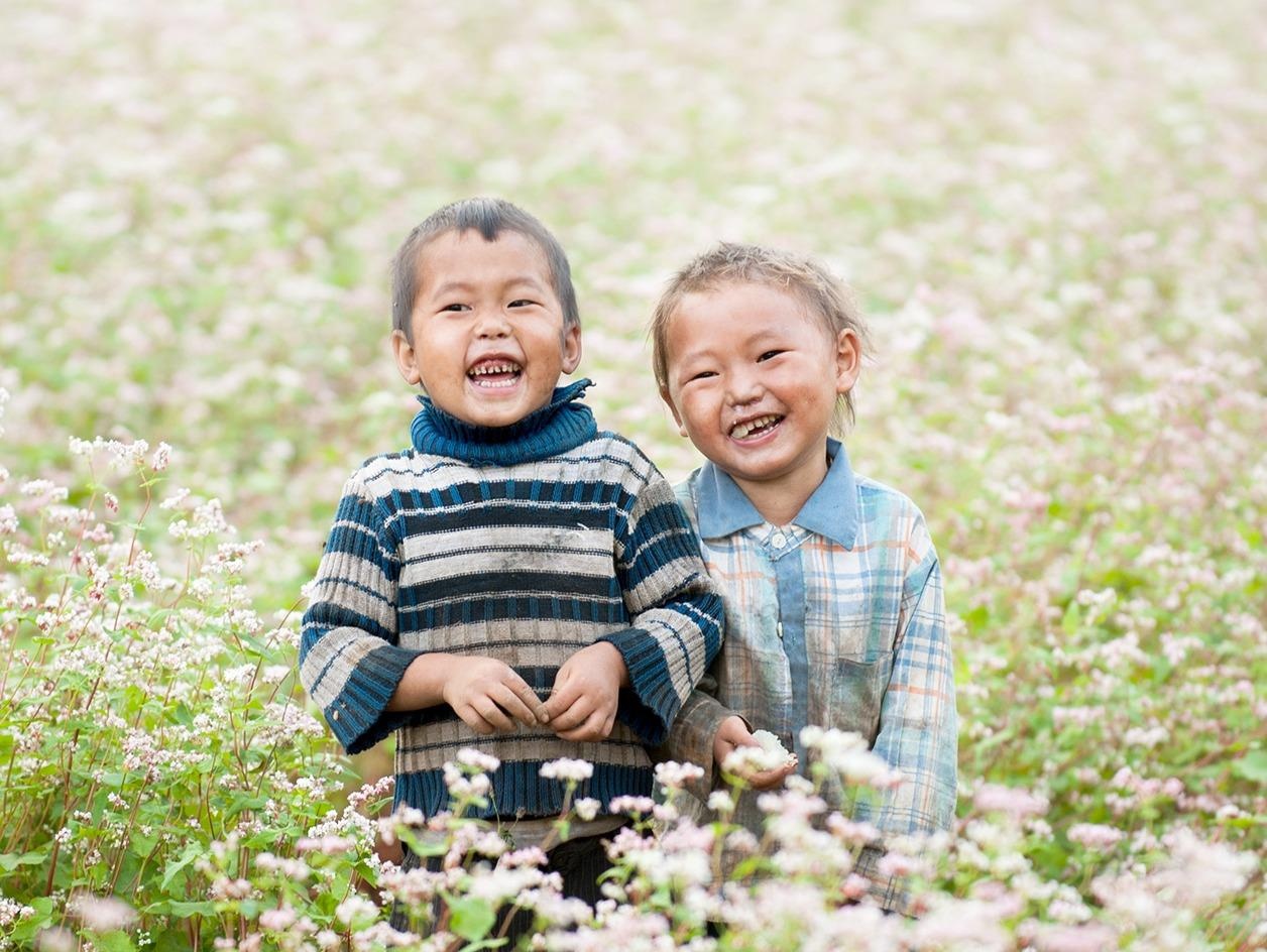 Ha Giang trong coi tam giac mach, san sang don khach ngay hoi hoa hinh anh