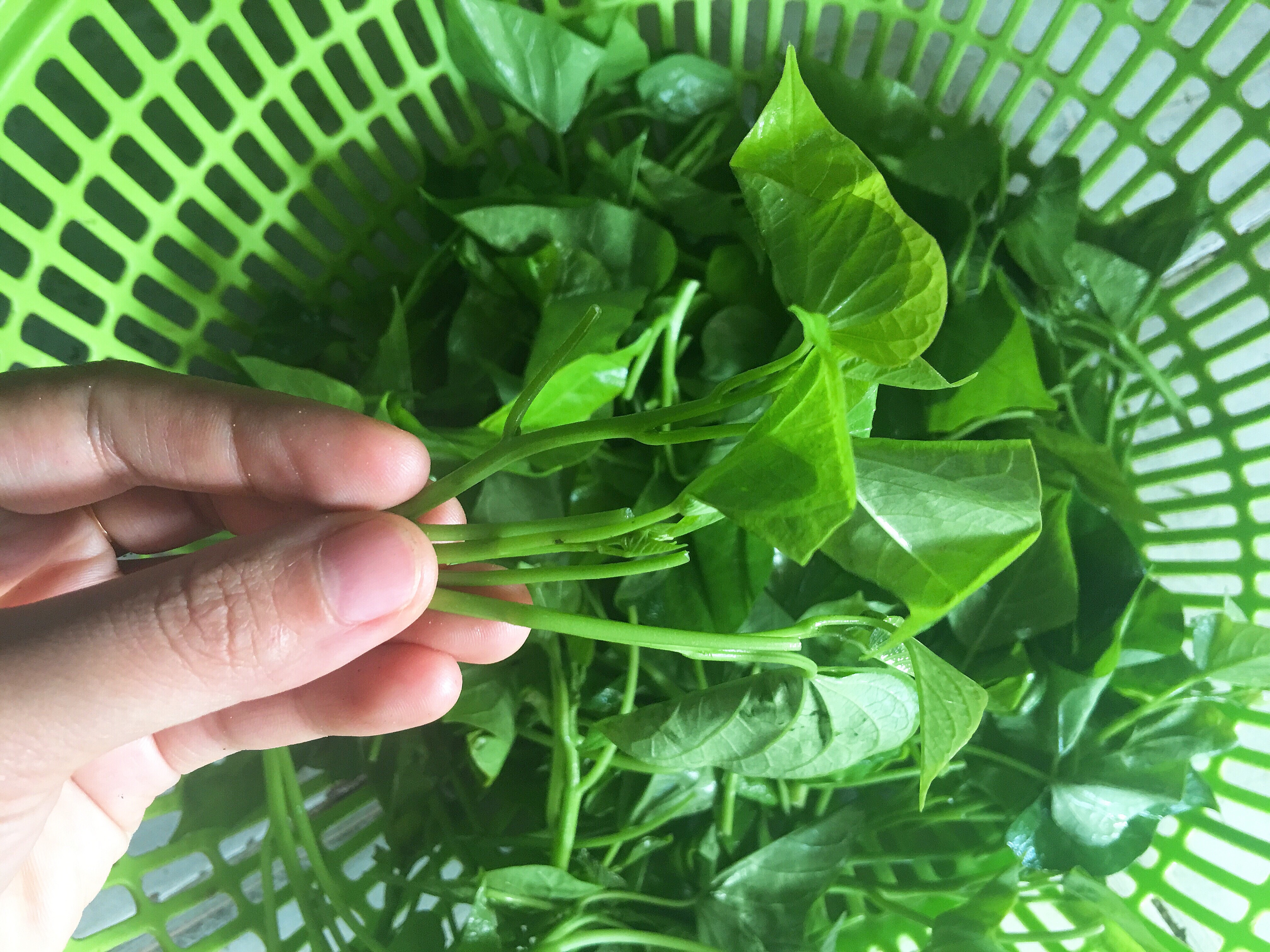 Rau lang xao toi ot anh 4