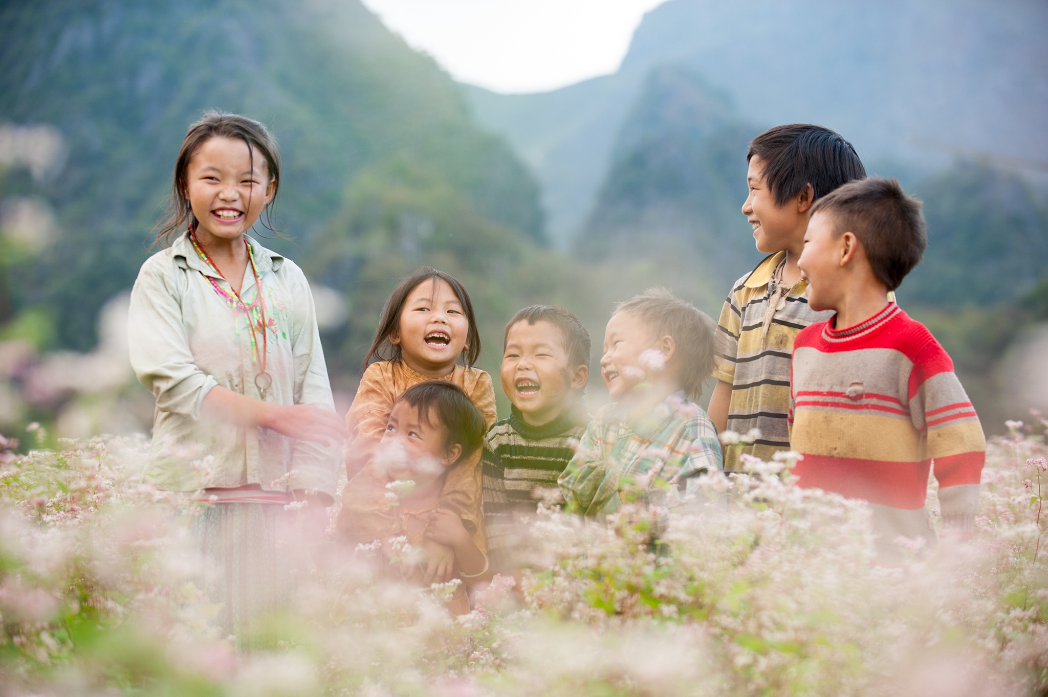 Thang 11, den Ha Giang ngam mua tam giac mach tuyet dep hinh anh