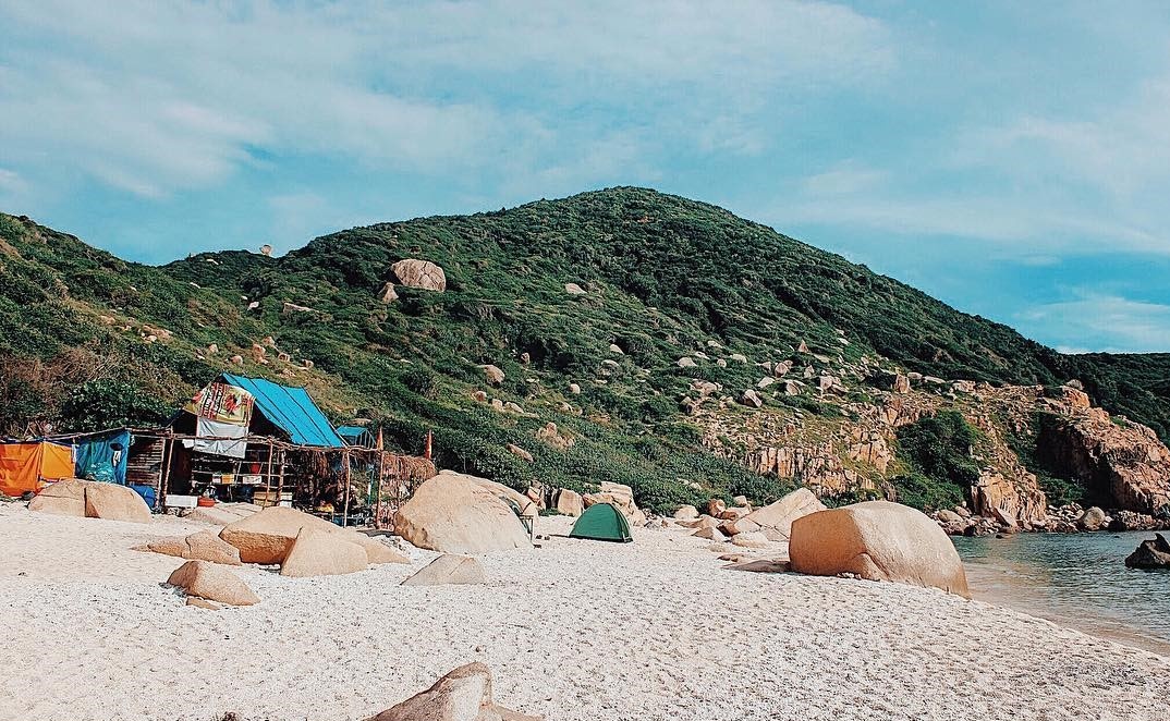 Doi cat Viet Nam anh 6