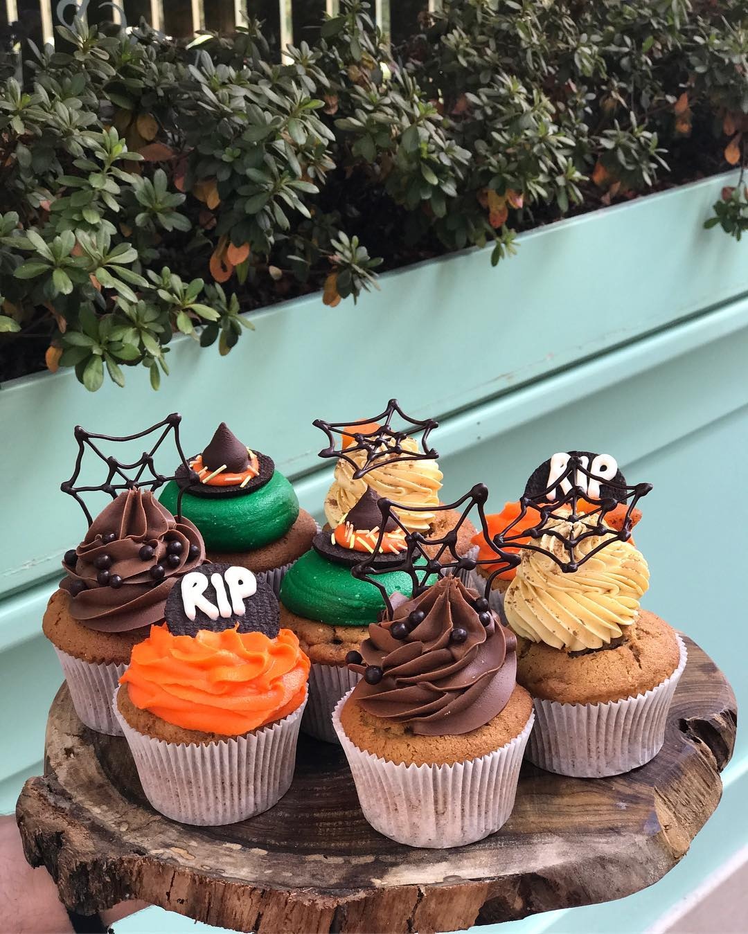 Bua tiec sang tao anh 10