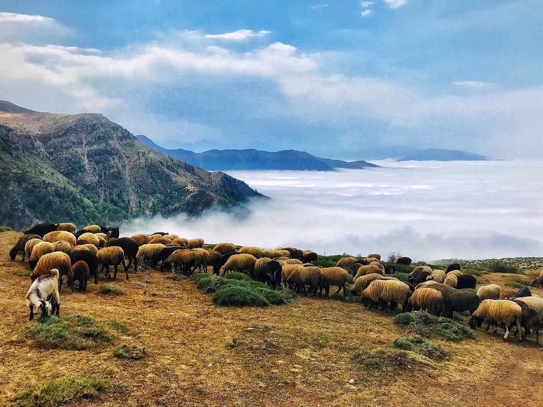 Thien duong may anh 6