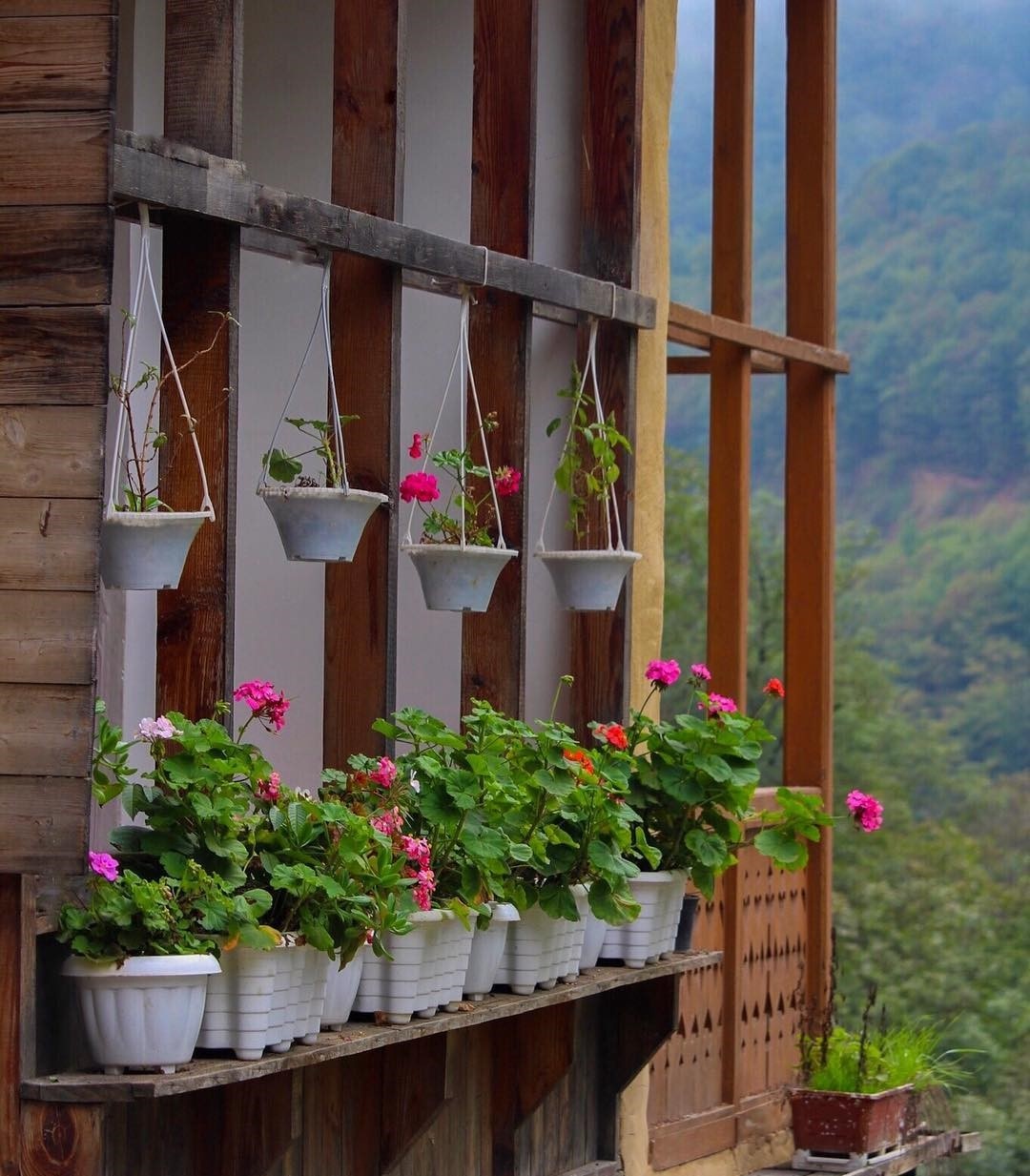 Ngoi lang khong mai anh 6