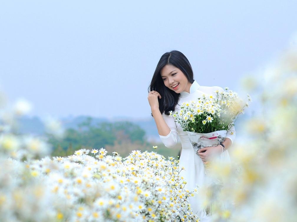 Xuyen xao mua cuc hoa mi don dong ve giua long Ha Noi hinh anh