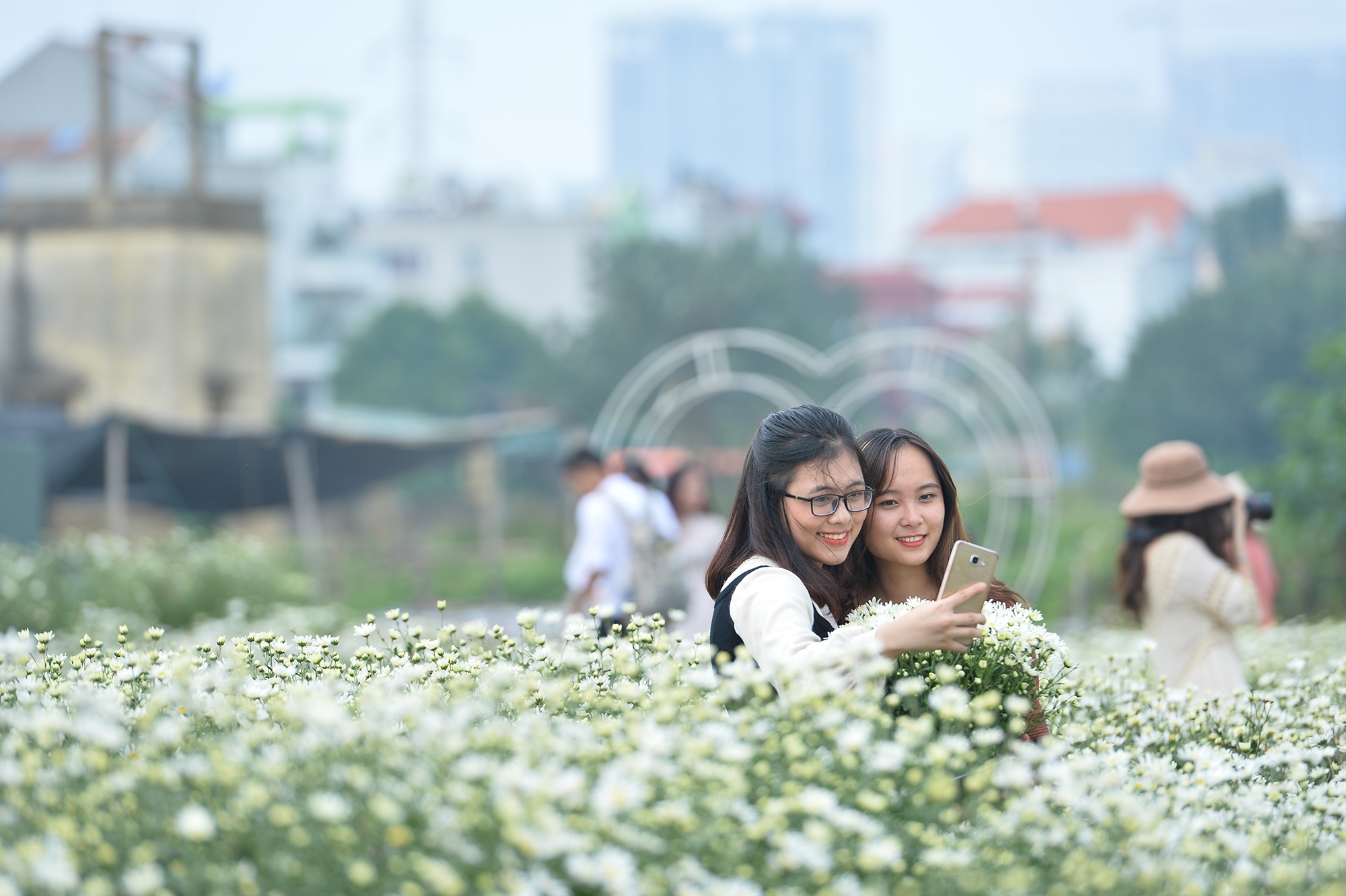 Hoa cuc hoa mi anh 30