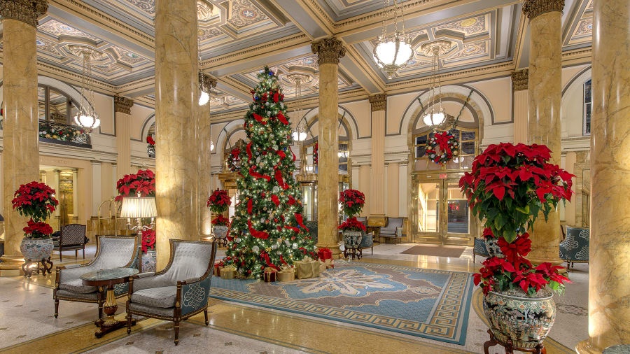 Diem den giang sinh anh 11