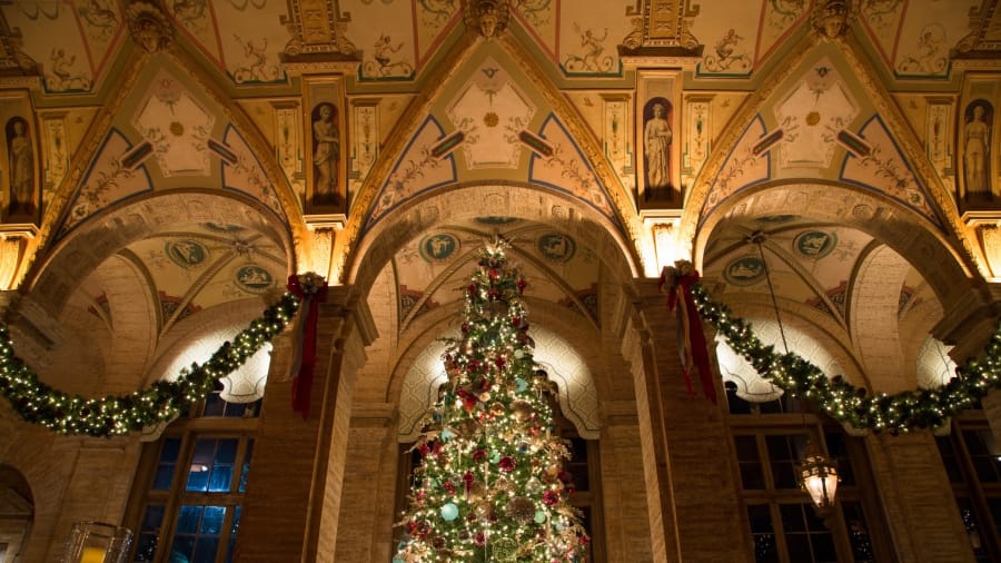 Diem den giang sinh anh 13