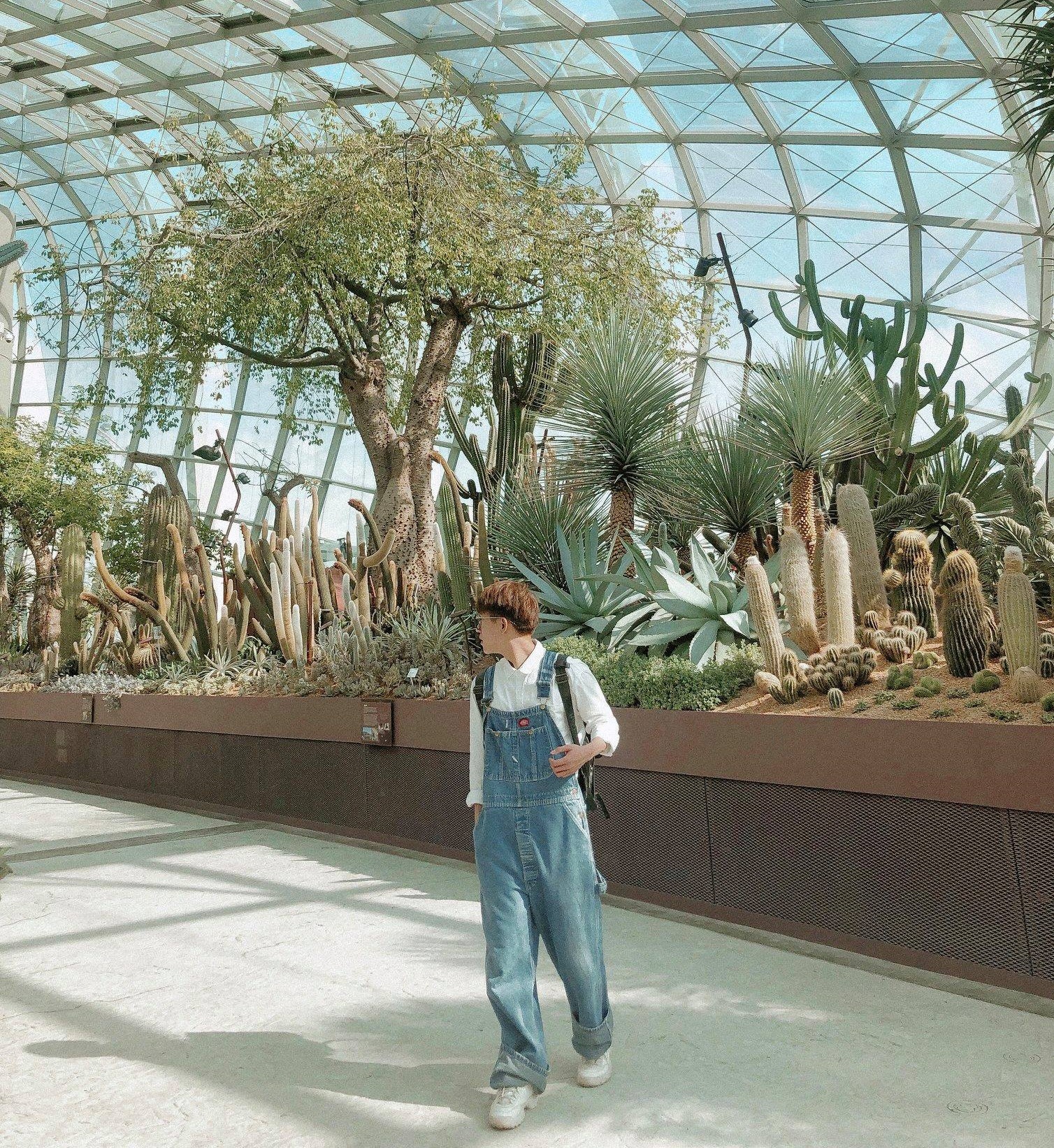 Du lich Malaysia-Singapore anh 16