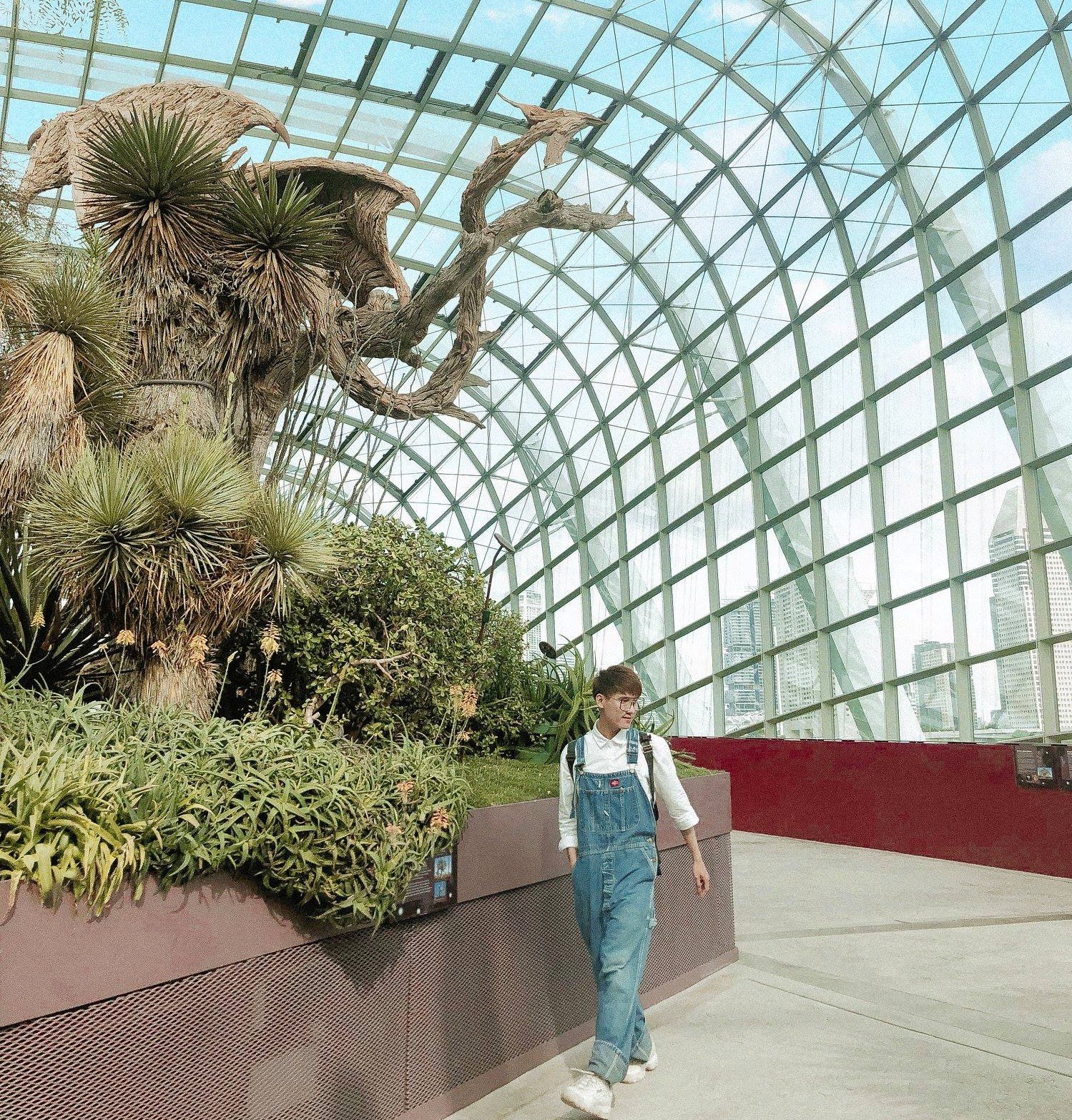 Du lich Malaysia-Singapore anh 17