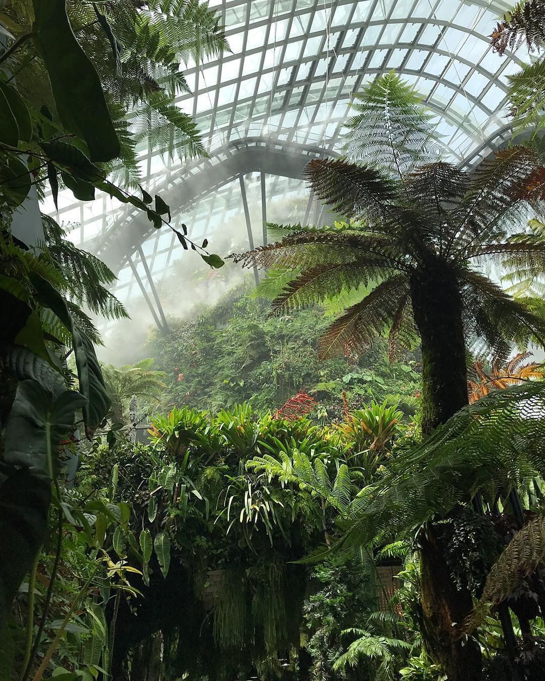 Du lich Malaysia-Singapore anh 13