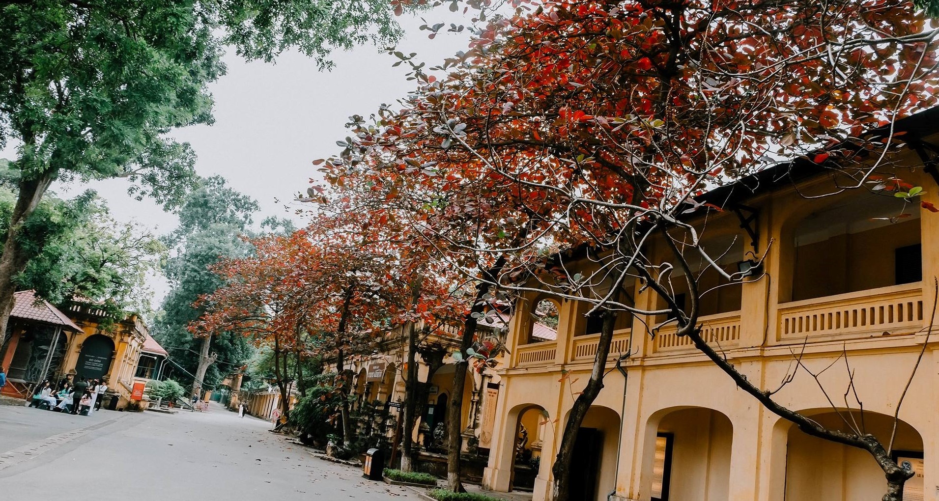 Cảnh đẹp Hà Nội ảnh 2 Canh dep Ha Noi anh 2
