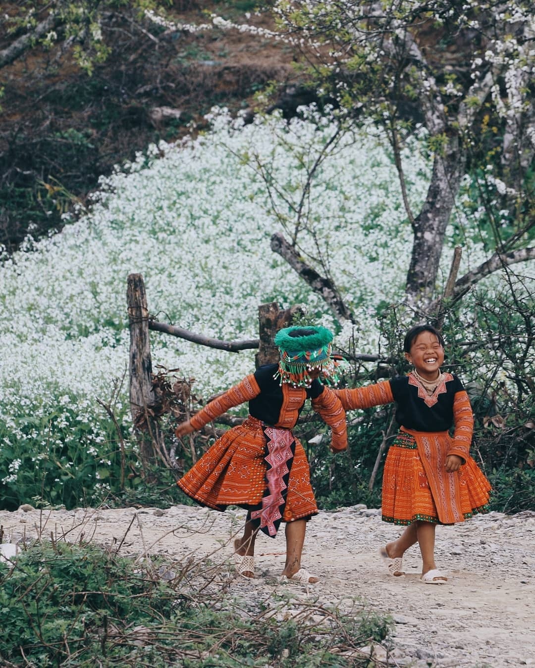 Du lich Viet Nam anh 1