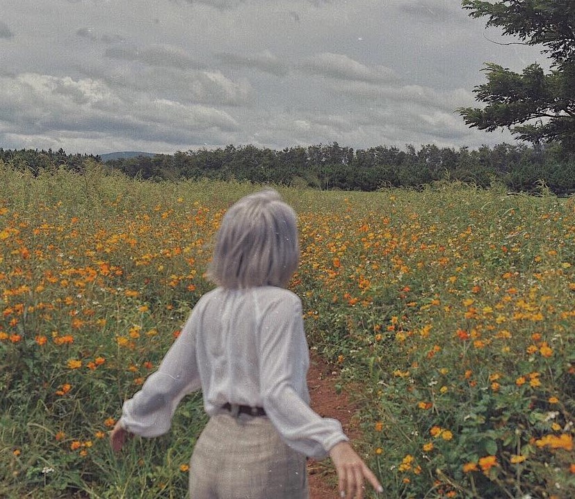 Du lich Viet Nam anh 15