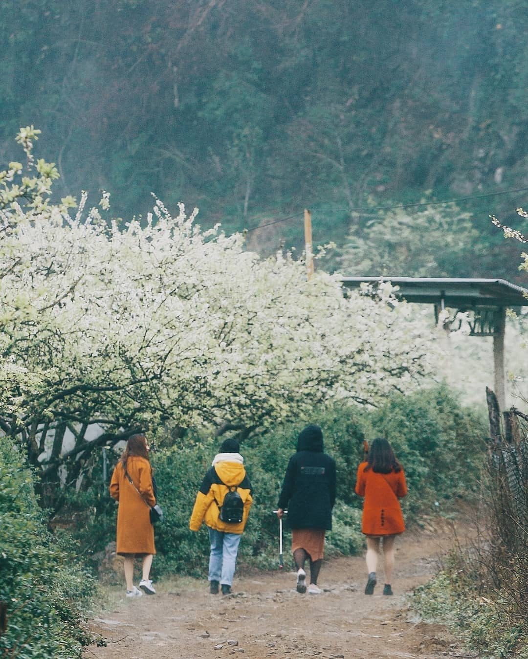 Du lich Viet Nam anh 2