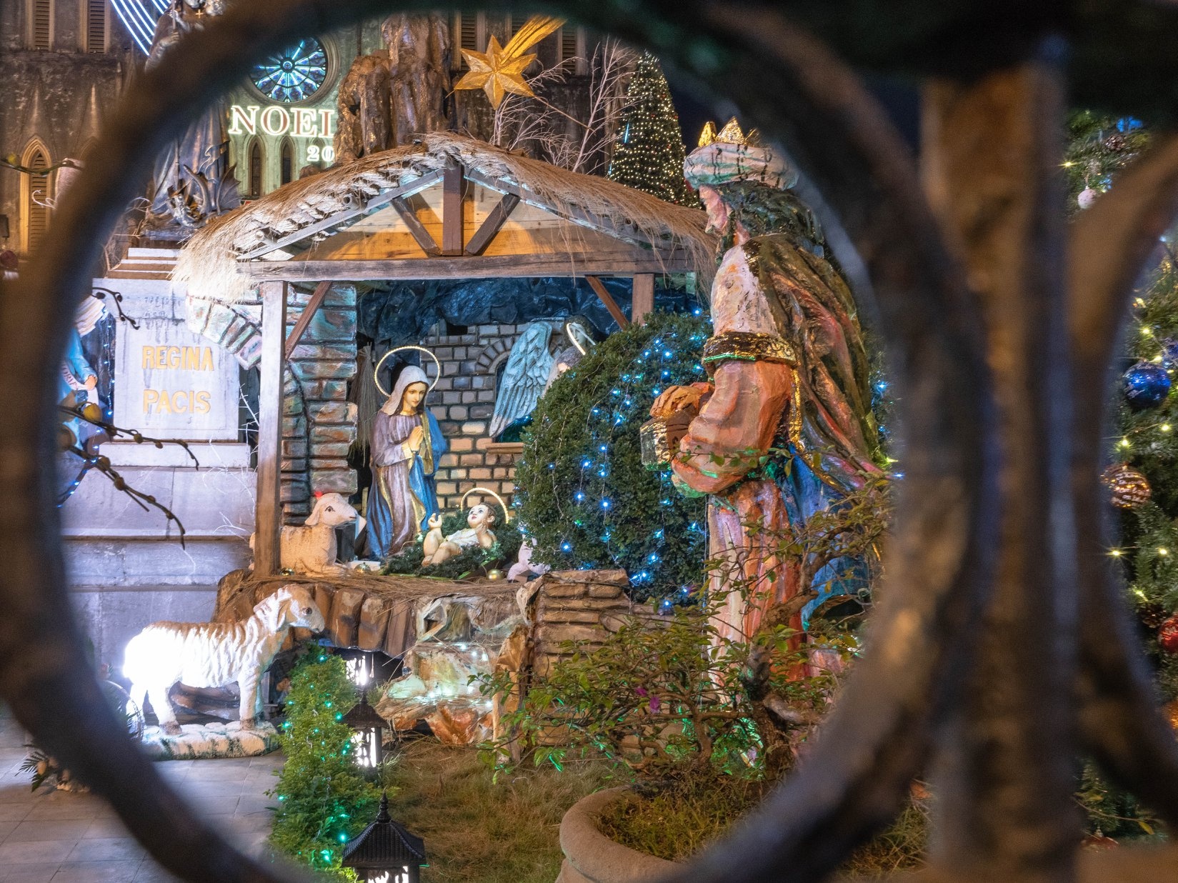 Mua Giang sinh anh 5