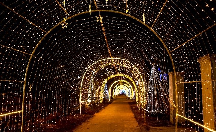 Mua Giang sinh anh 13