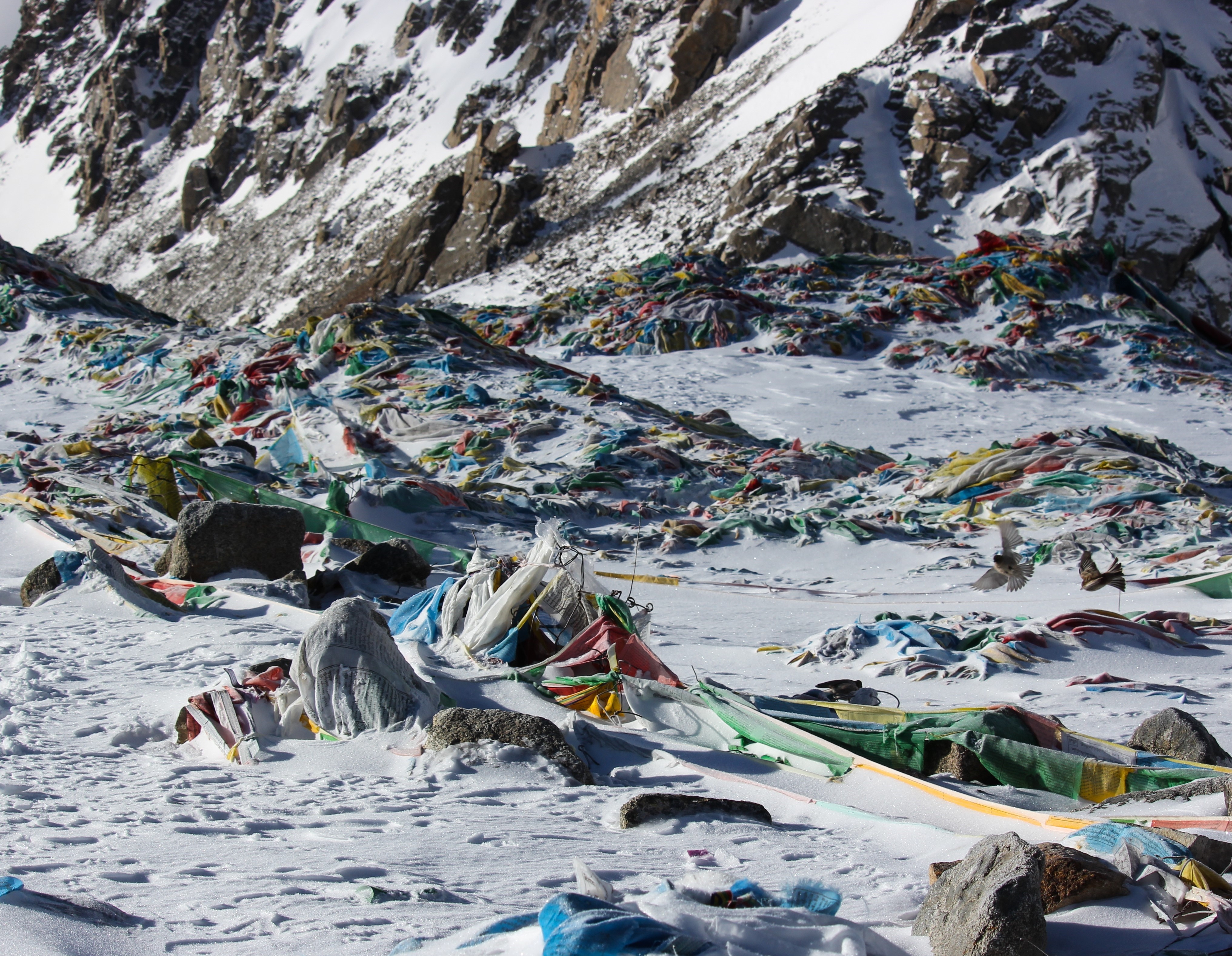 Du lich Tay Tang anh 29