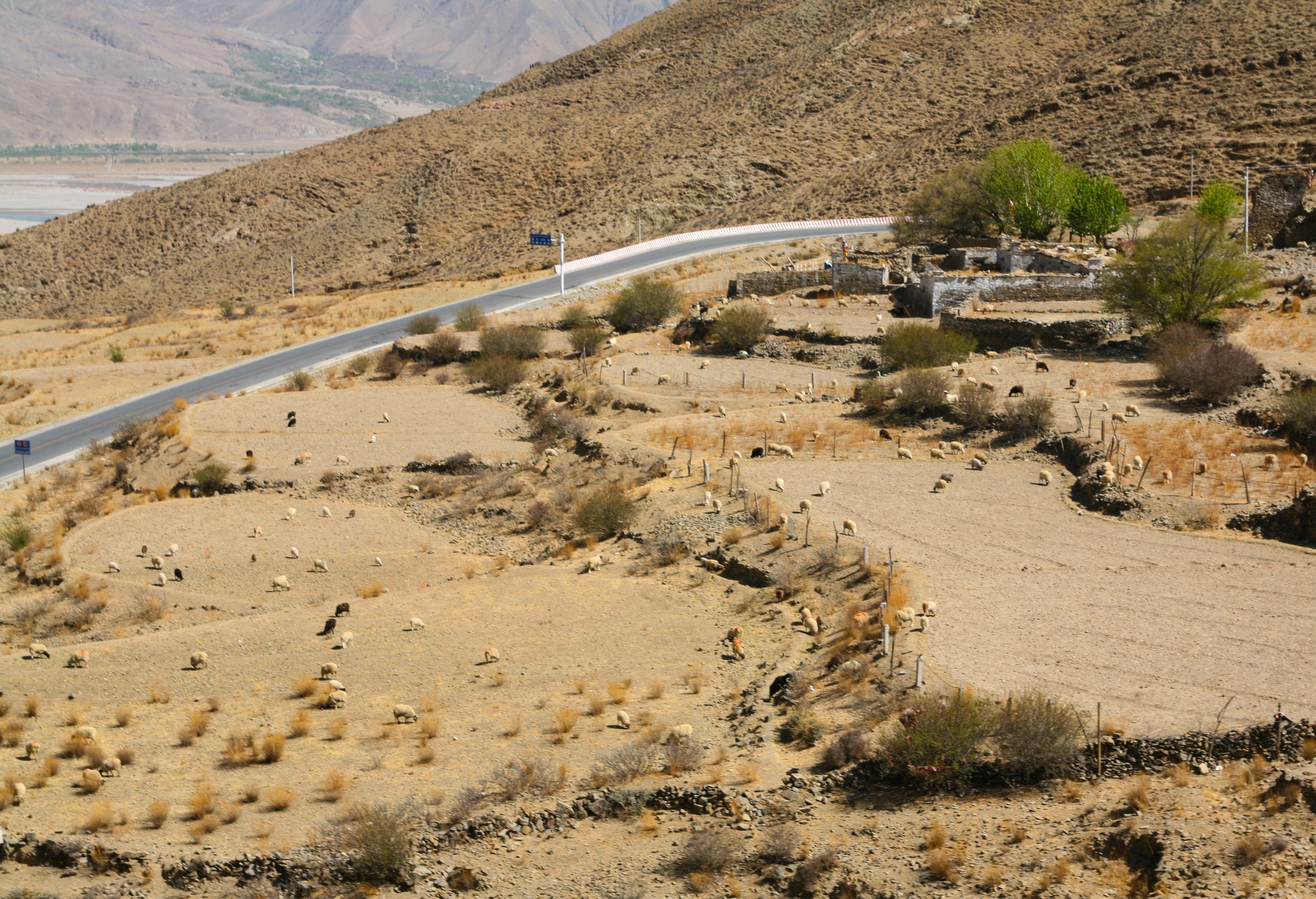 Du lich Tay Tang anh 2