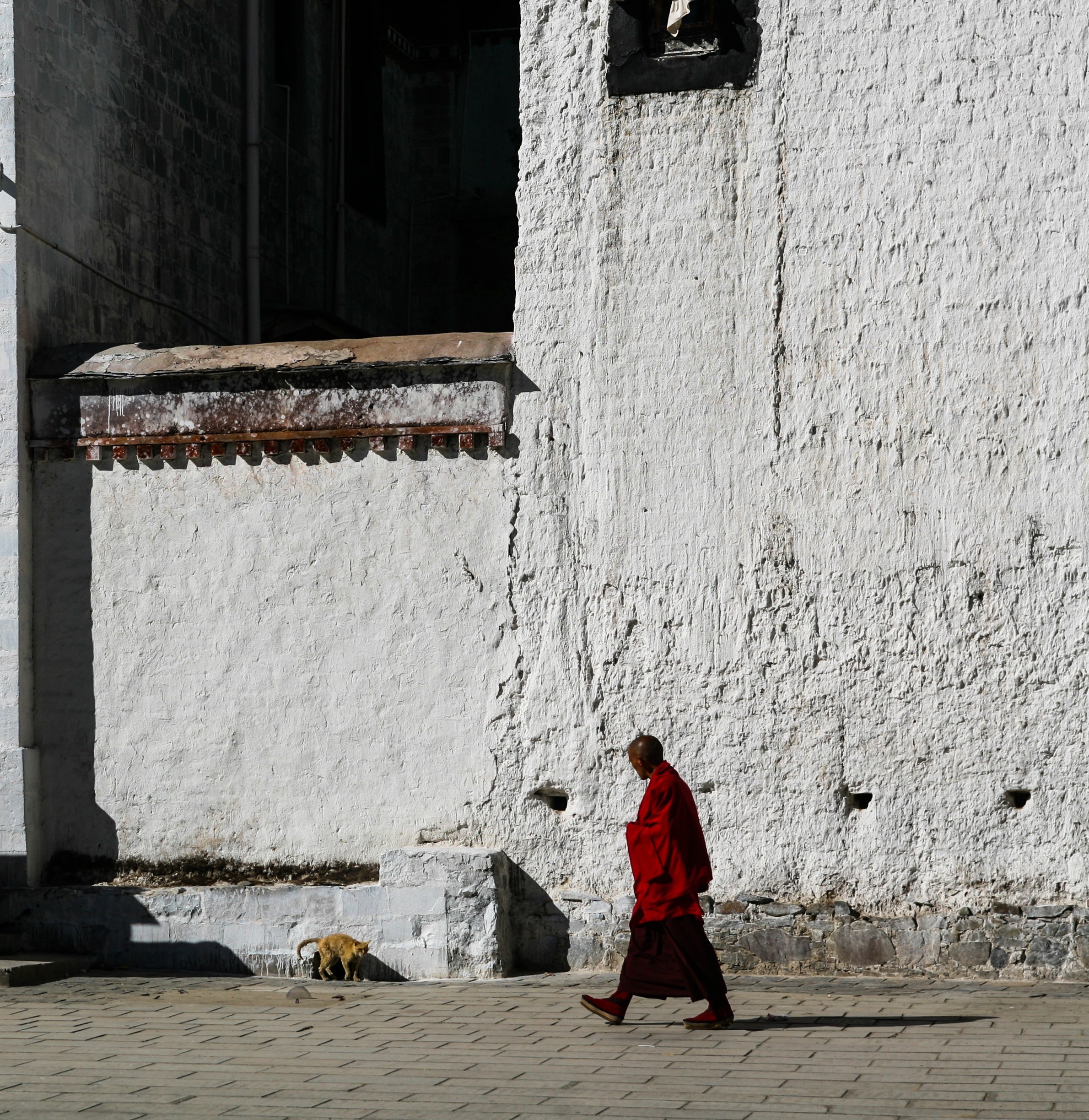 Du lich Tay Tang anh 56