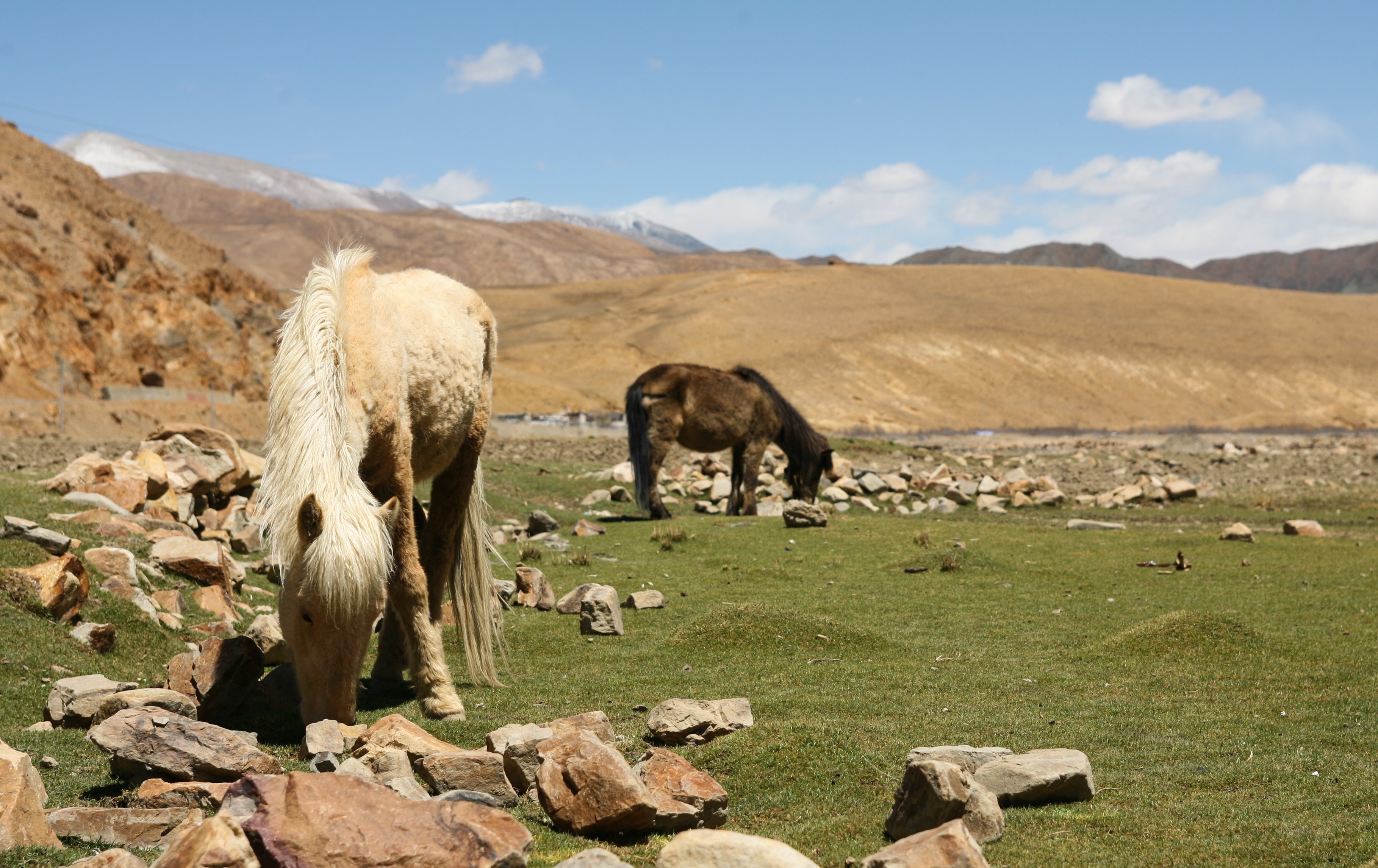 Du lich Tay Tang anh 6