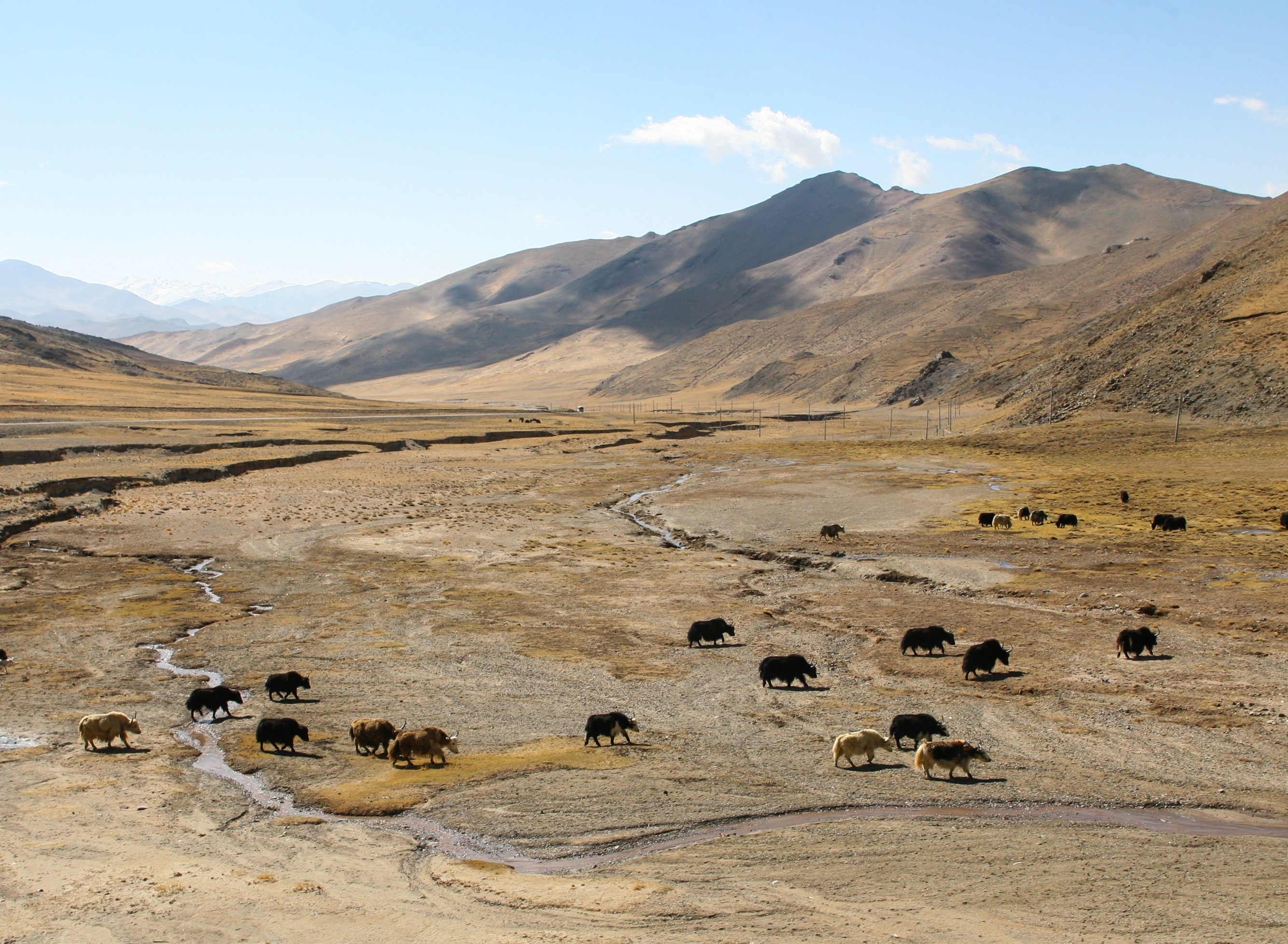 Du lich Tay Tang anh 7