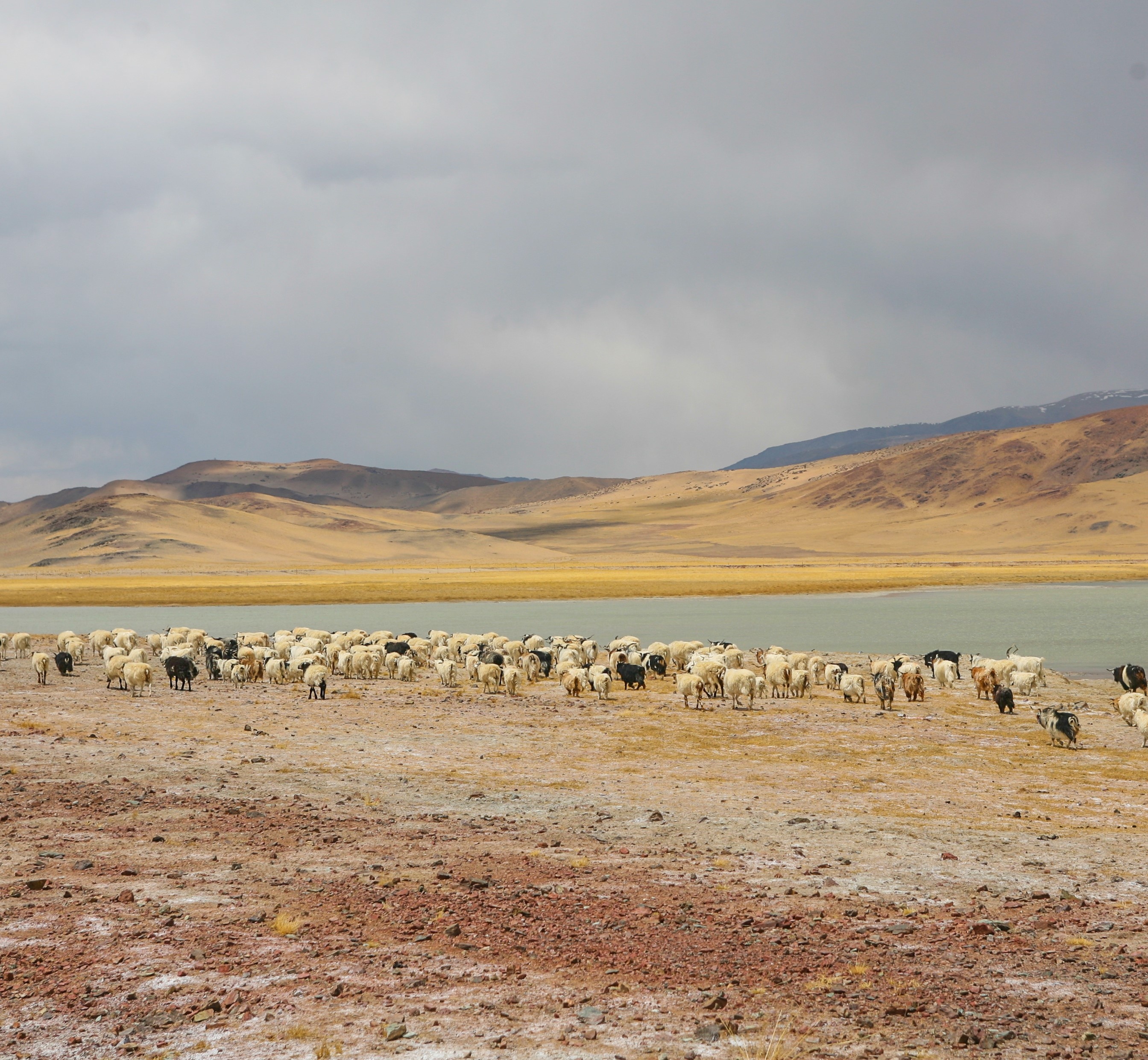 Du lich Tay Tang anh 8