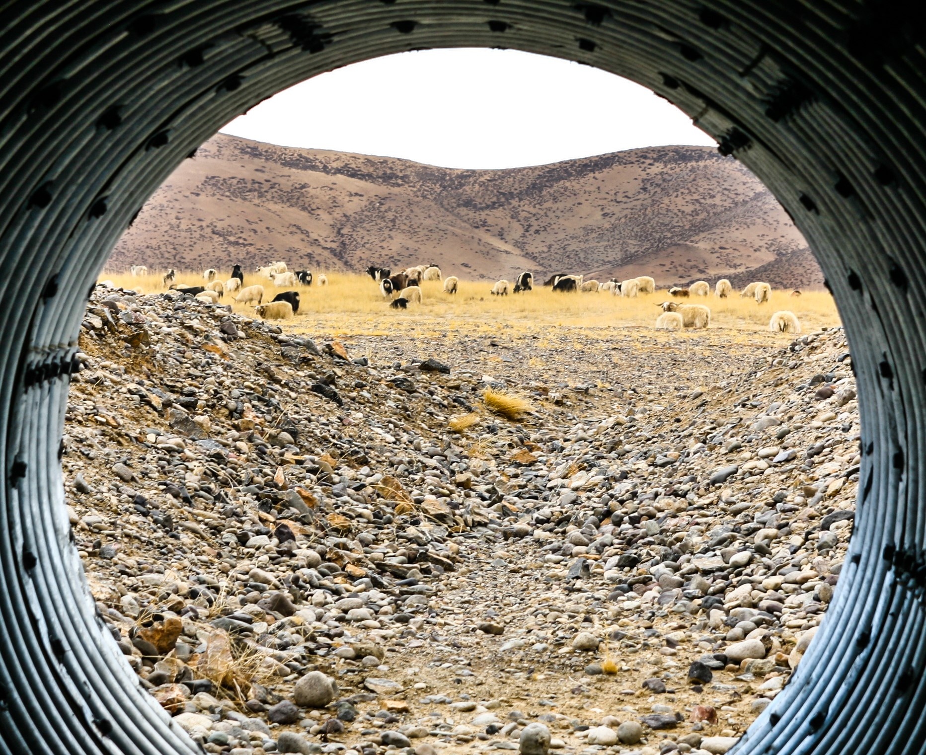 Du lich Tay Tang anh 9