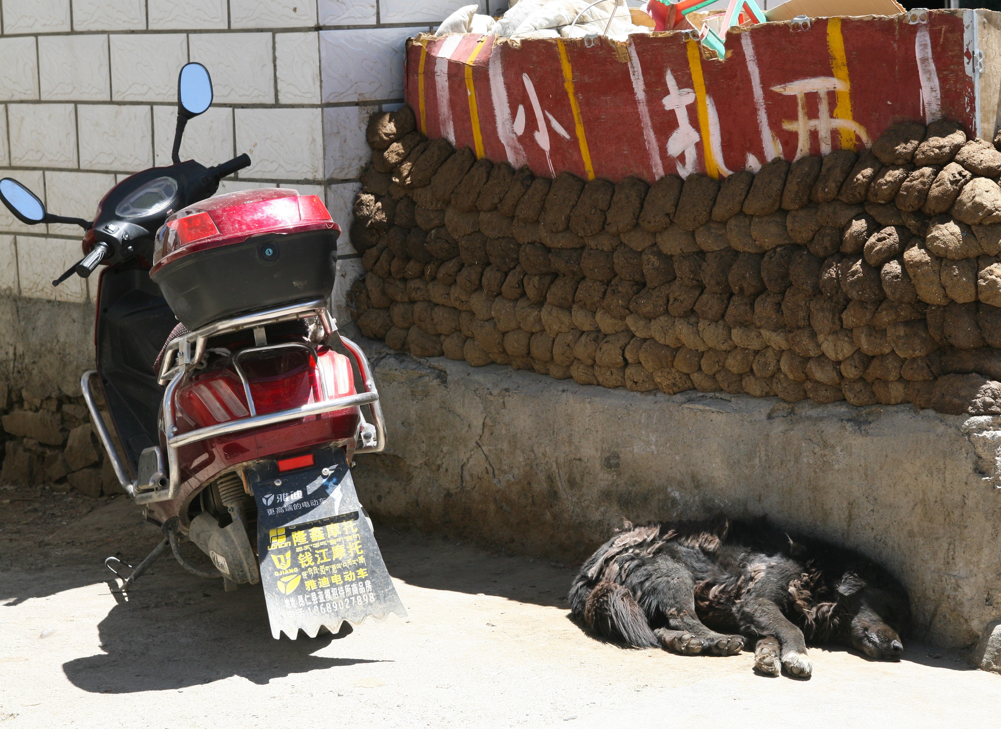 Du lich Tay Tang anh 74