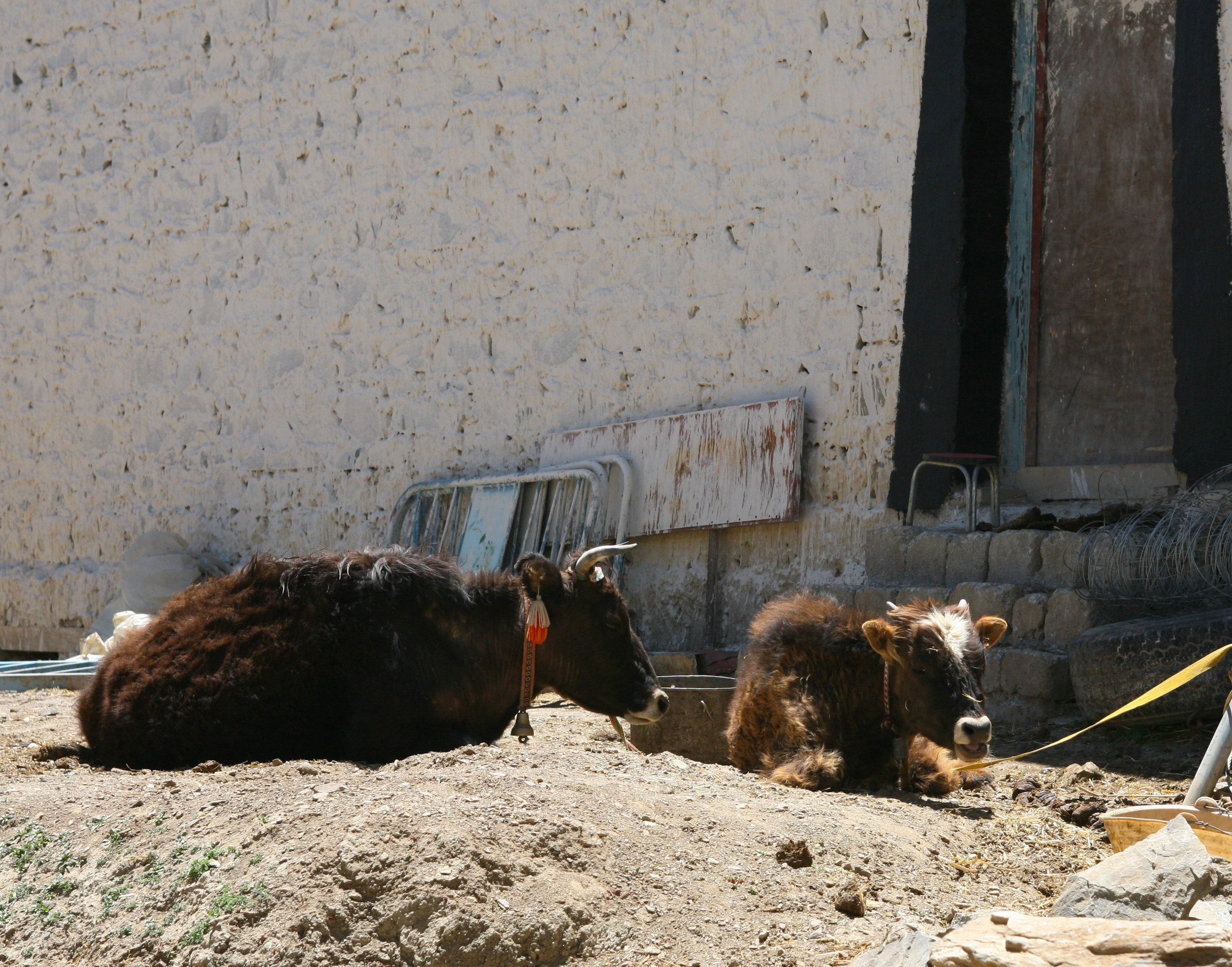 Du lich Tay Tang anh 77