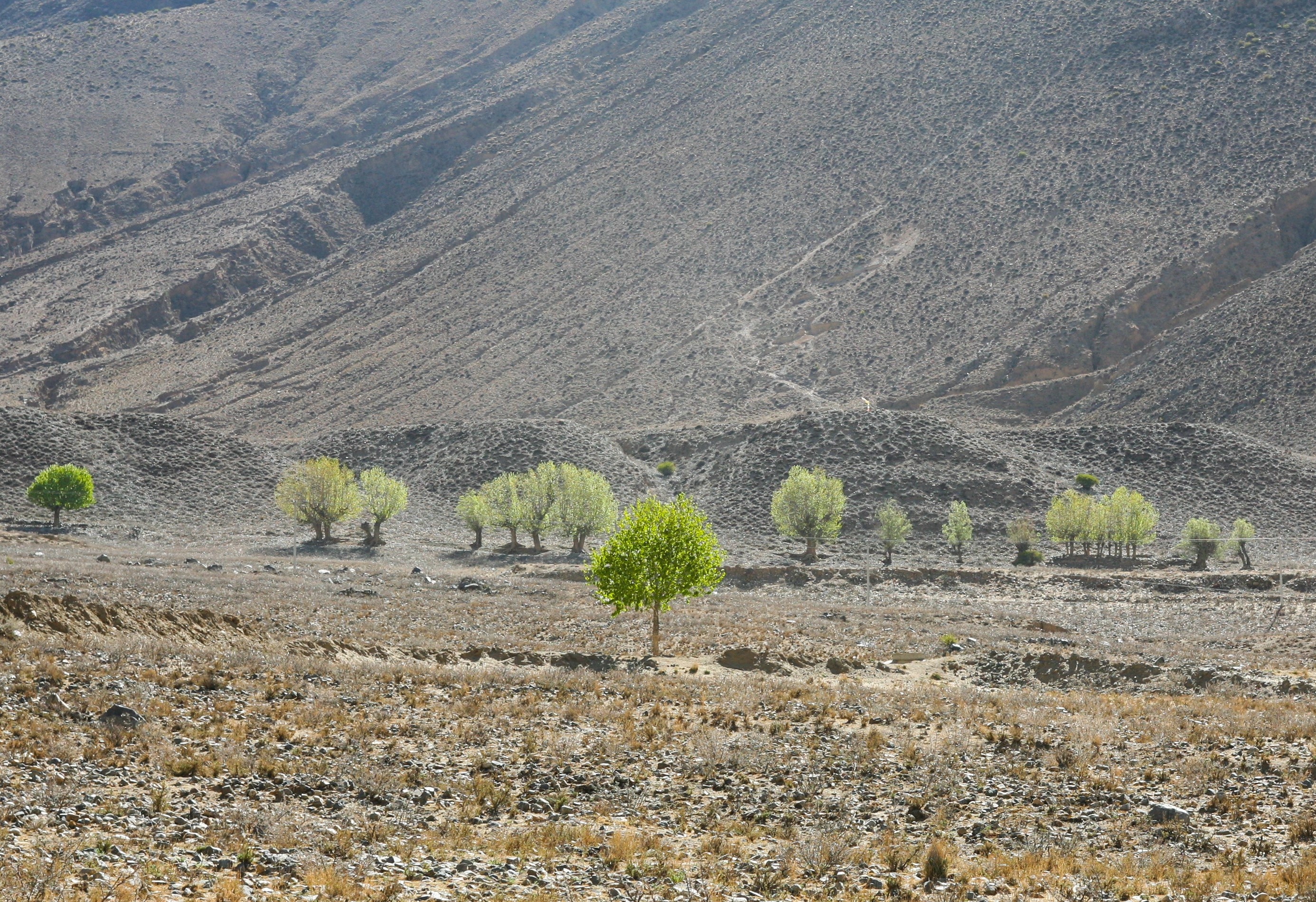 Du lich Tay Tang anh 80