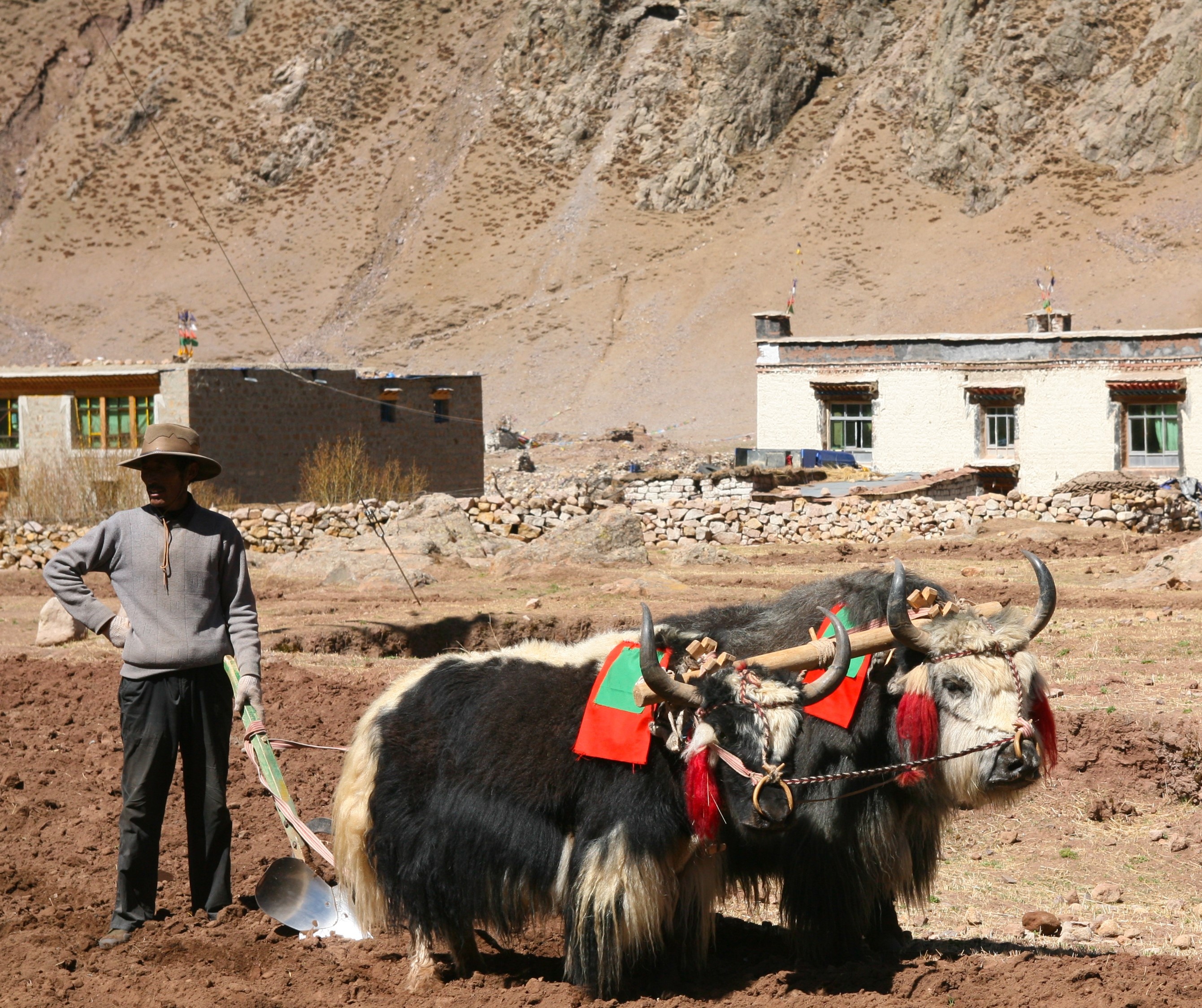 Du lich Tay Tang anh 81