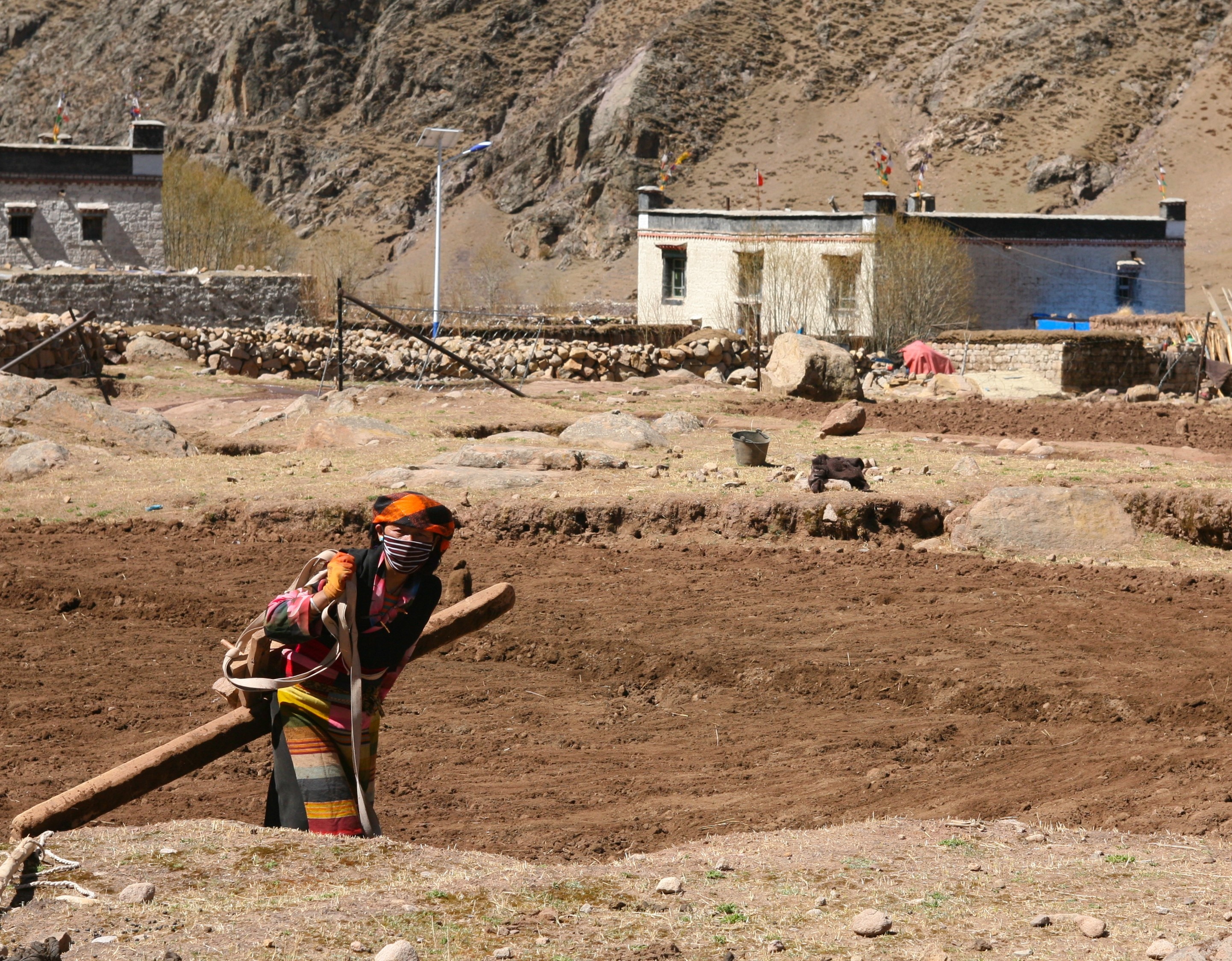 Du lich Tay Tang anh 82