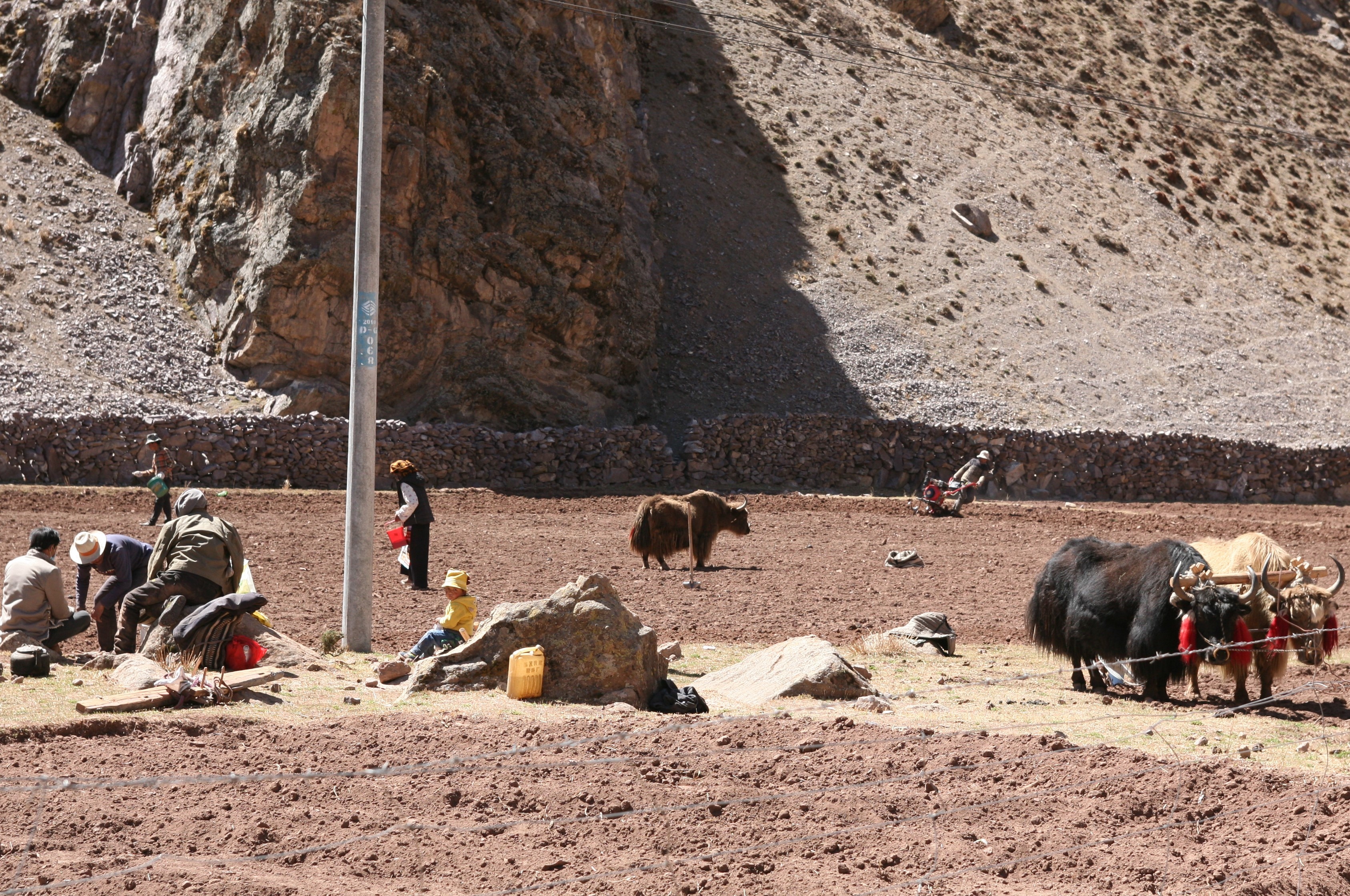 Du lich Tay Tang anh 84