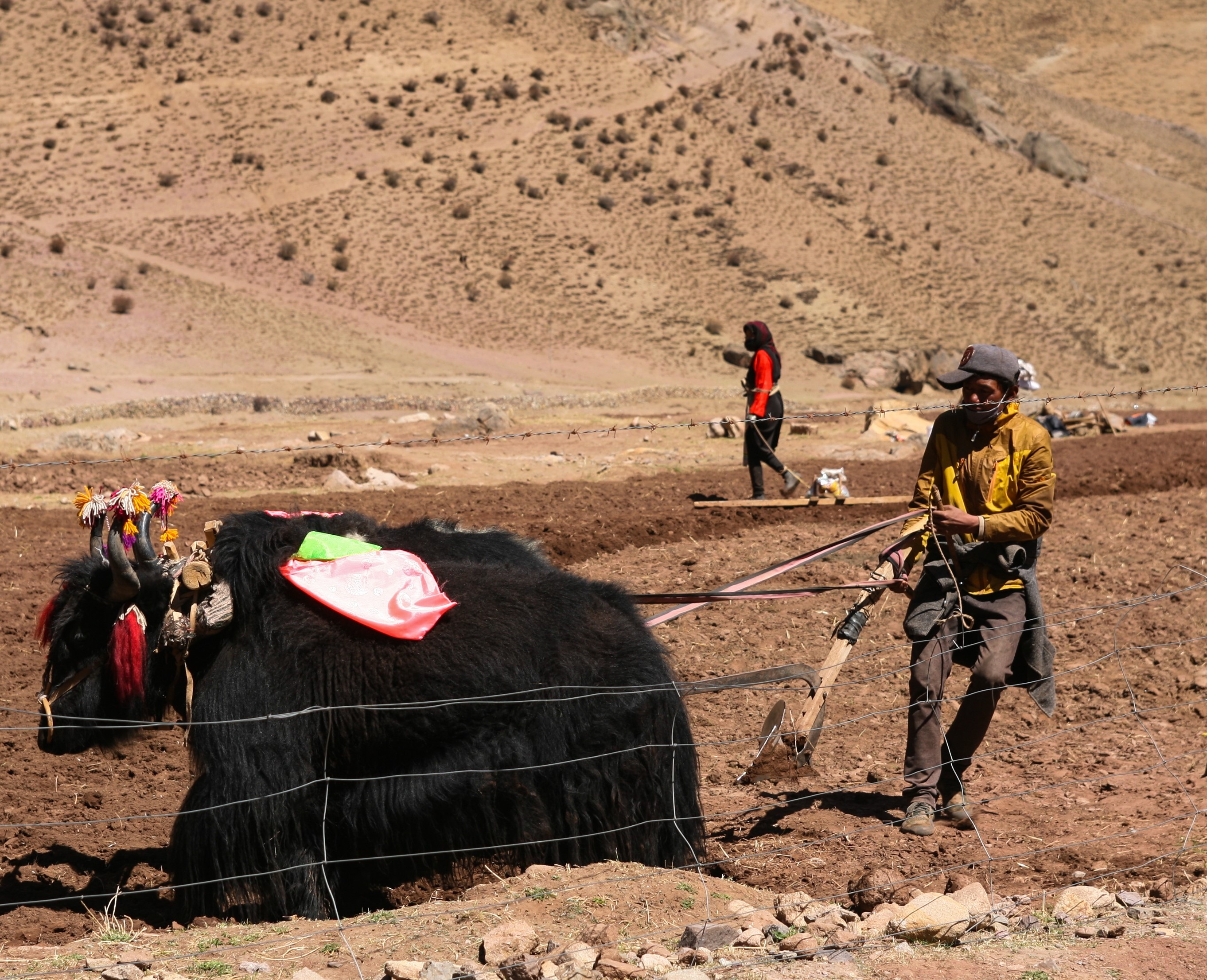 Du lich Tay Tang anh 85